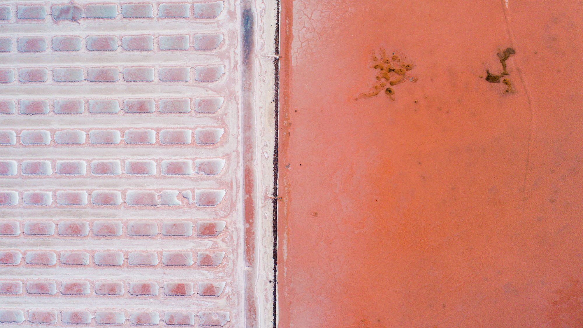 Un detalle que solo el aire revela. En la Isla San José, las salinas dibujan geometrías precisas: de un lado, las pozas donde se procesa la sal en tonos claros y ordenados; del otro, la laguna irrumpe con rojizos intensos que rompen la armonía.
Es co