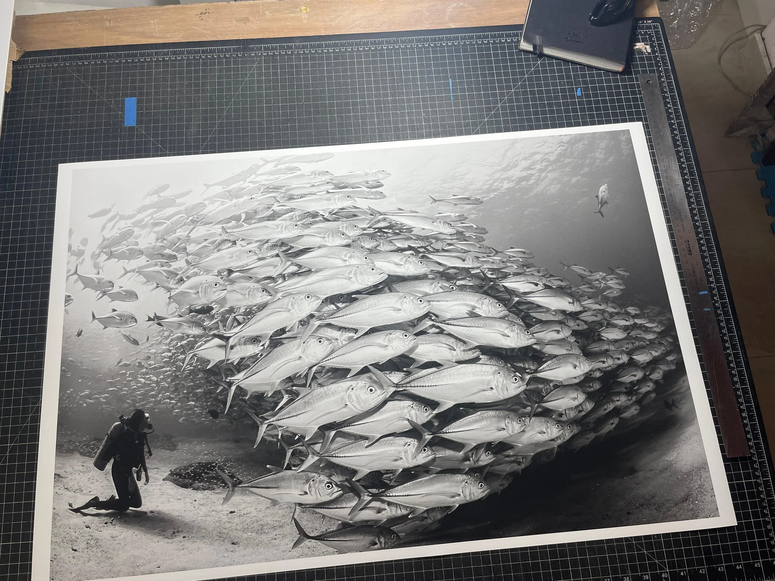 Fotografía en blanco y negro de un buque de peces en el fondo del mar, con un buzo en la arena en primer plano.
