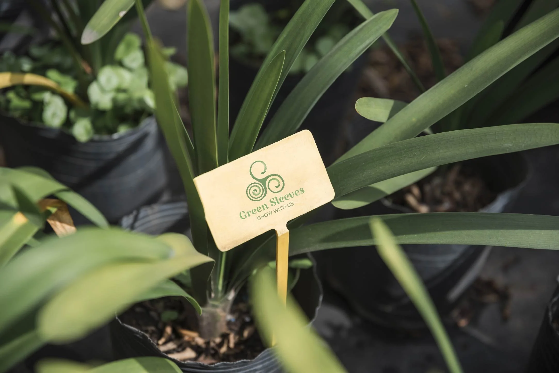 Green Sleeves Landscaping