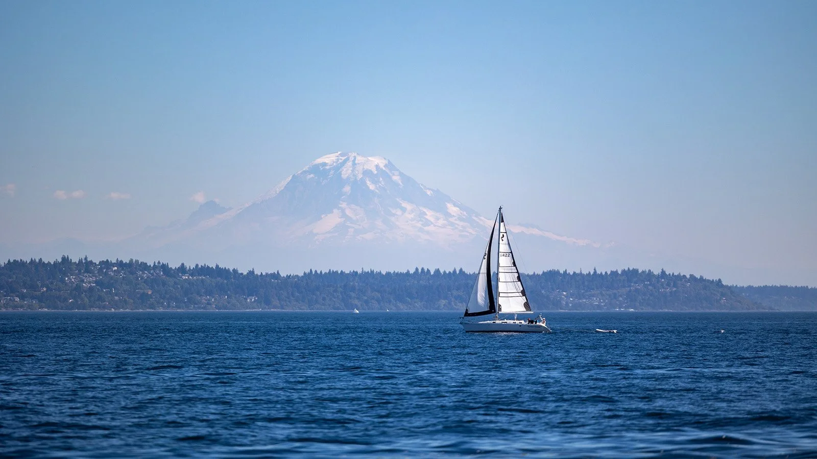 ⛵ Beyond the Harbor: Four Leadership Lessons from Sailing