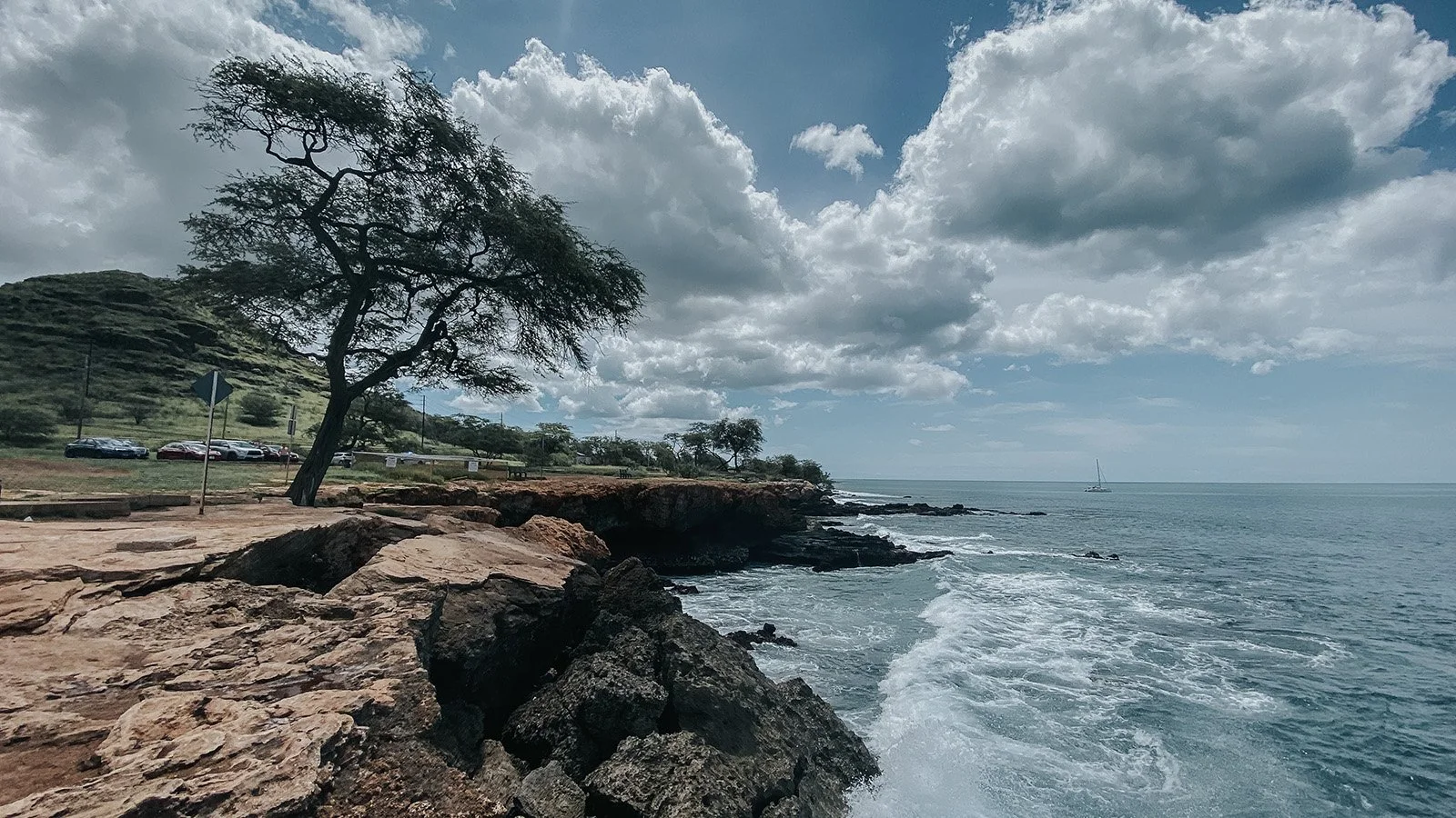 8 Waves to Ride in 2025
