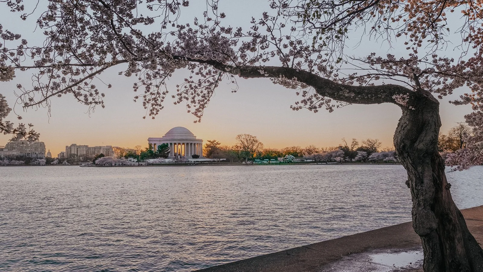 America’s Heritage of Generosity