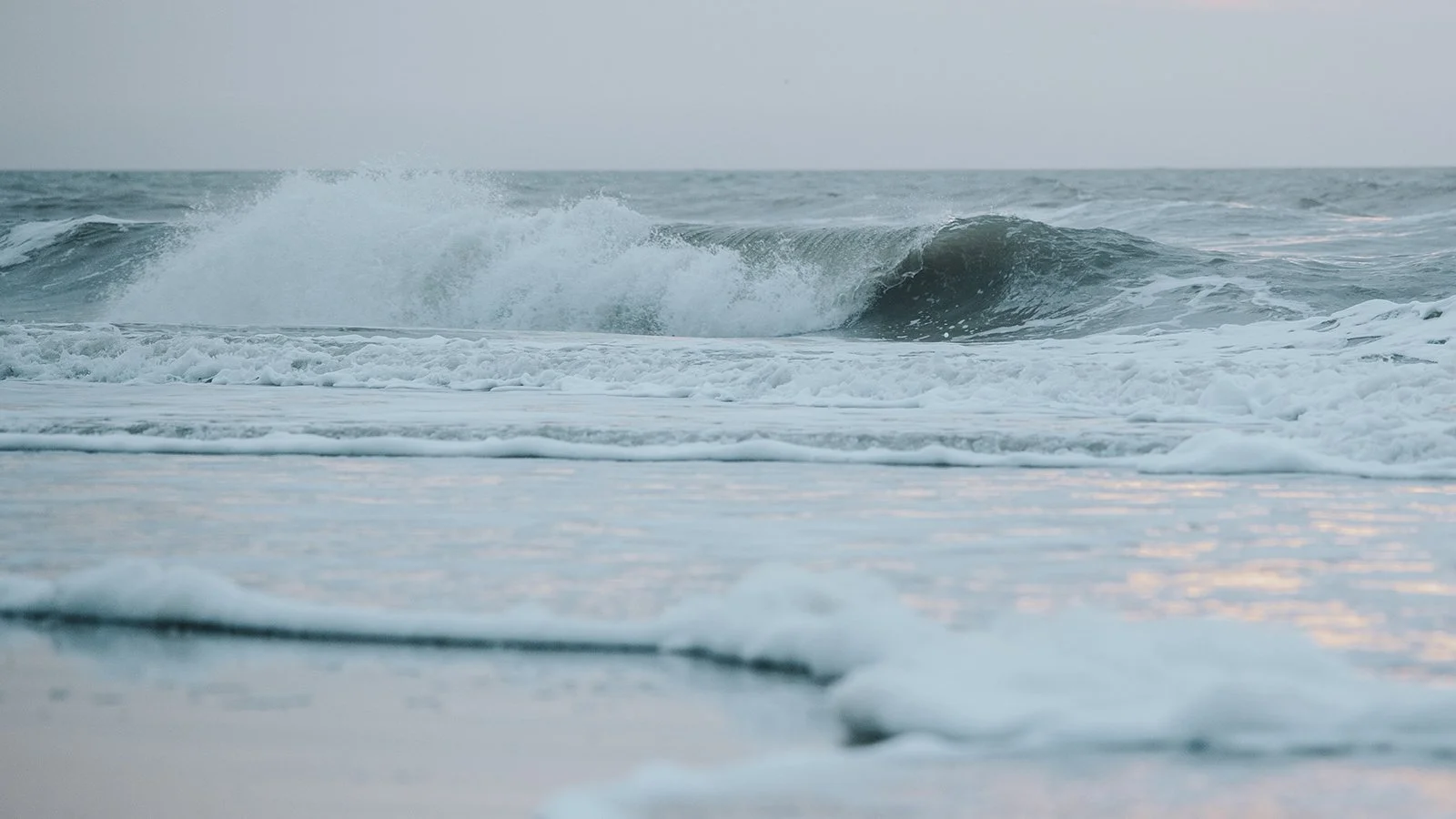 Top Waves of 2024