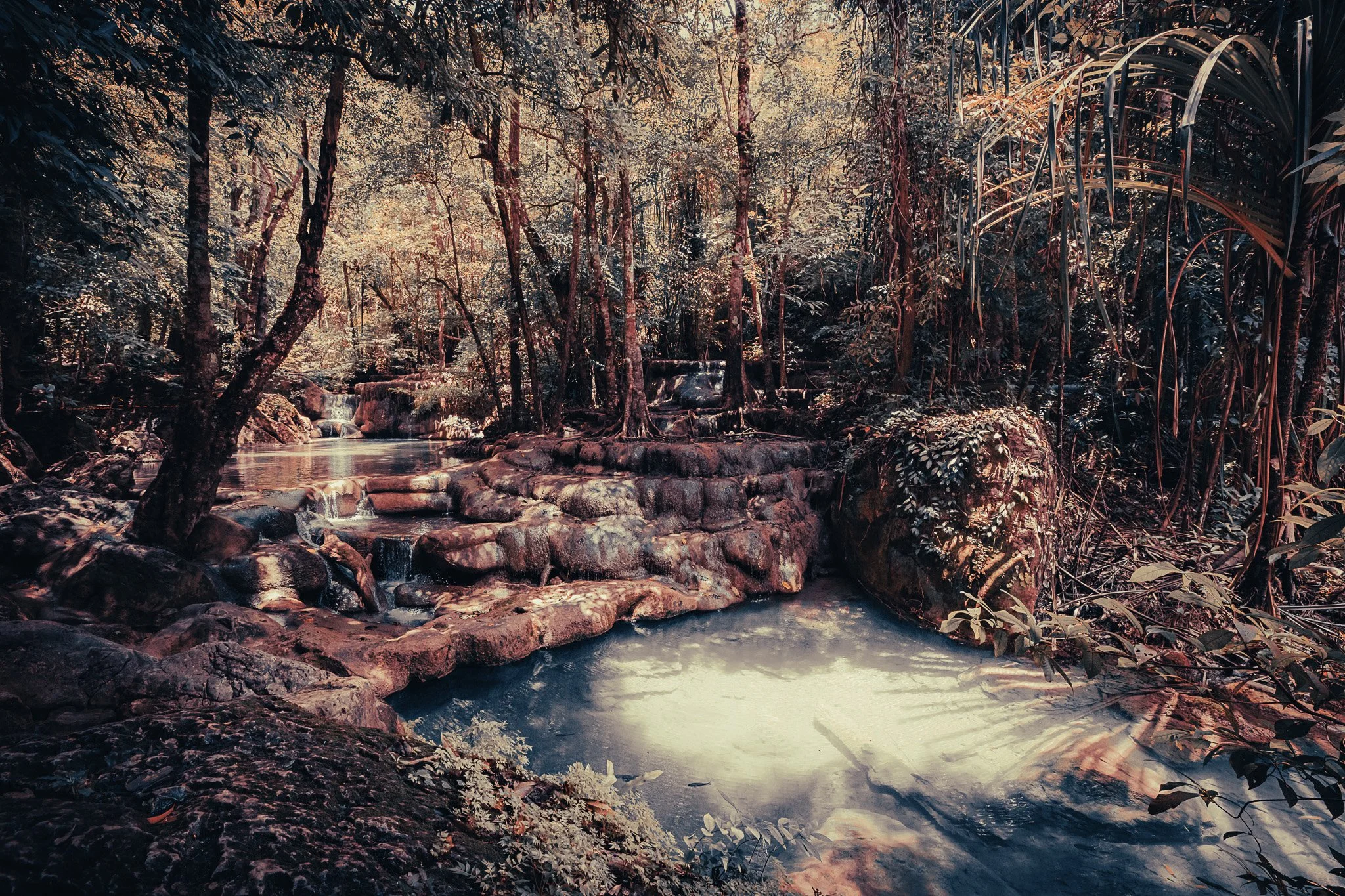 Clear stream flowing through the rainforest in Khao Sok National Park, with rocks, tree roots and dense jungle around it.