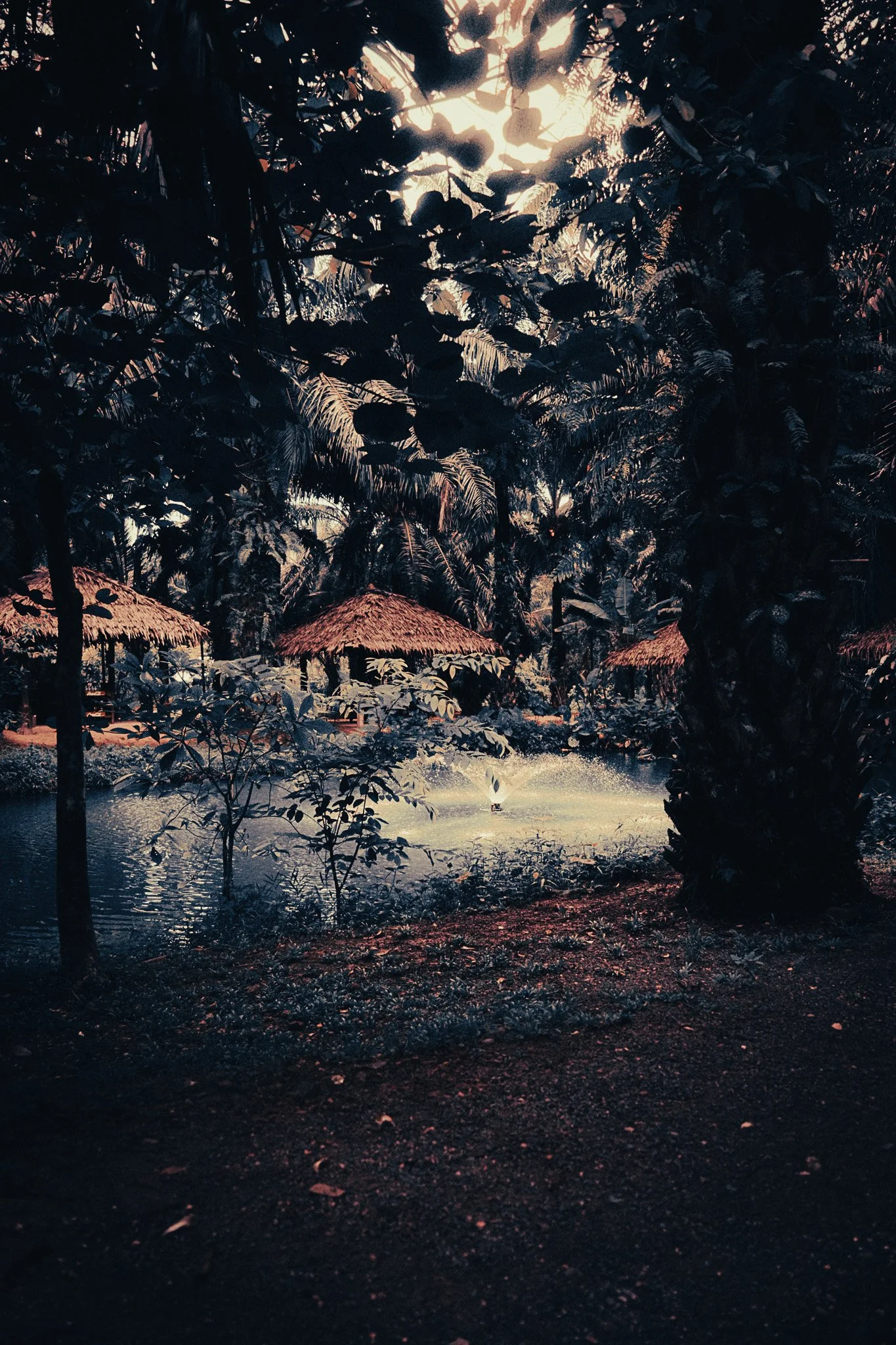 Jungle accommodation surrounded by tropical trees and water in Khao Sok, Thailand.