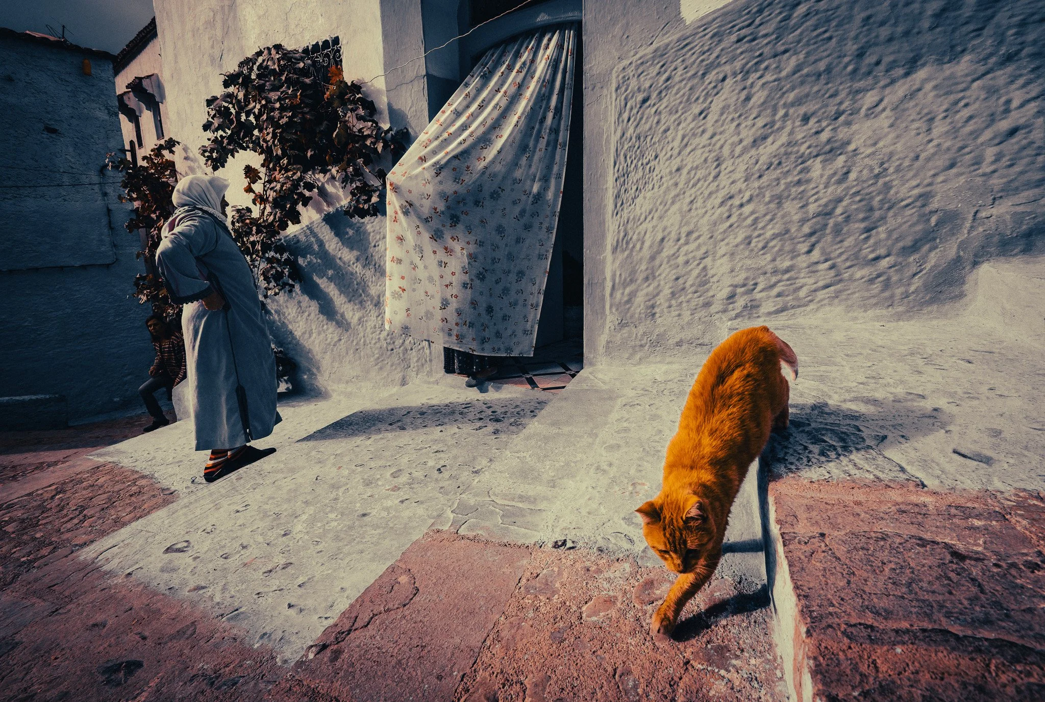 A blue-painted street in Chefchaouen, Morocco, with an orange cat in the foreground and local life unfolding quietly around the doorway.
