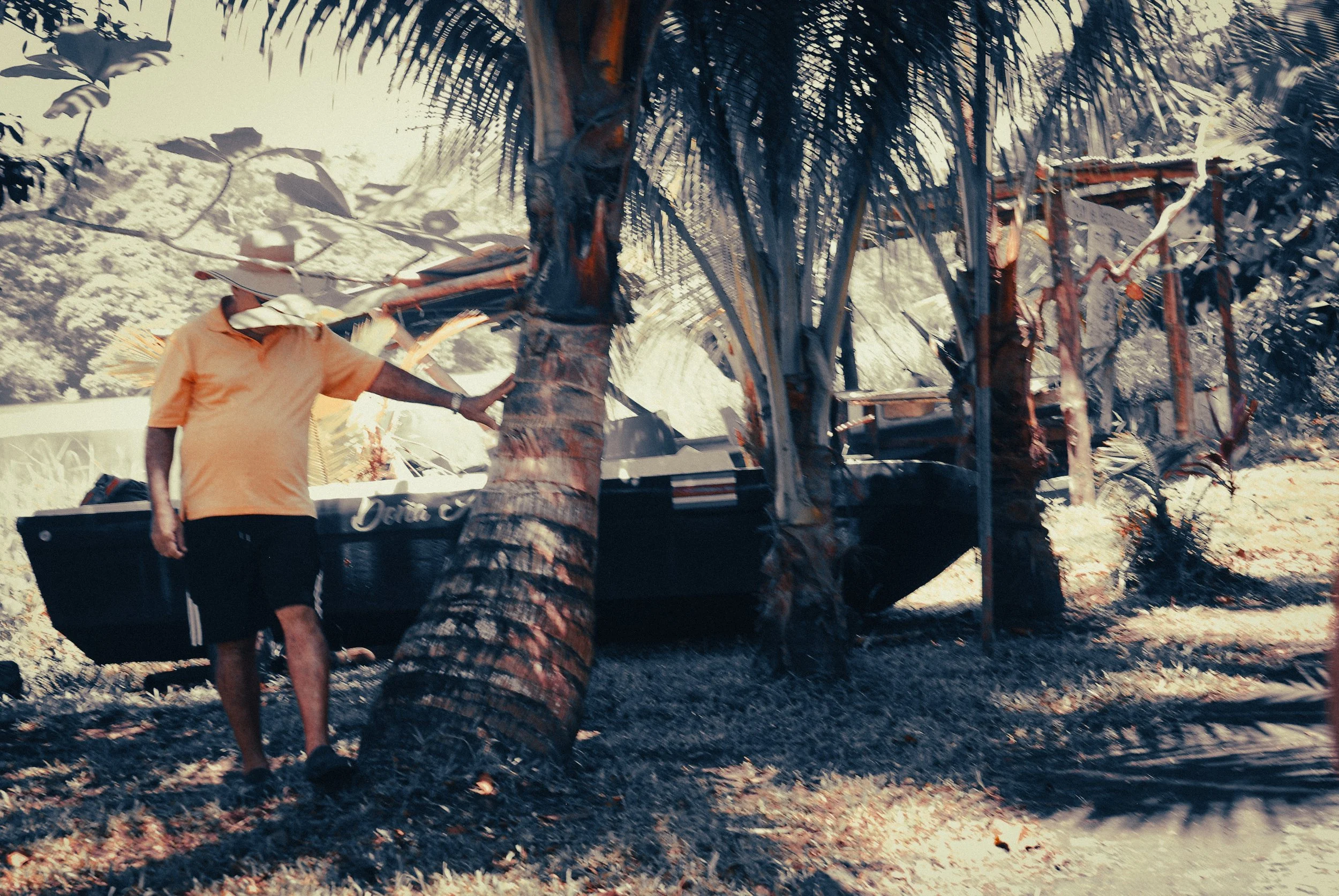 Remote Costa Rica jungle, turned into a horror story