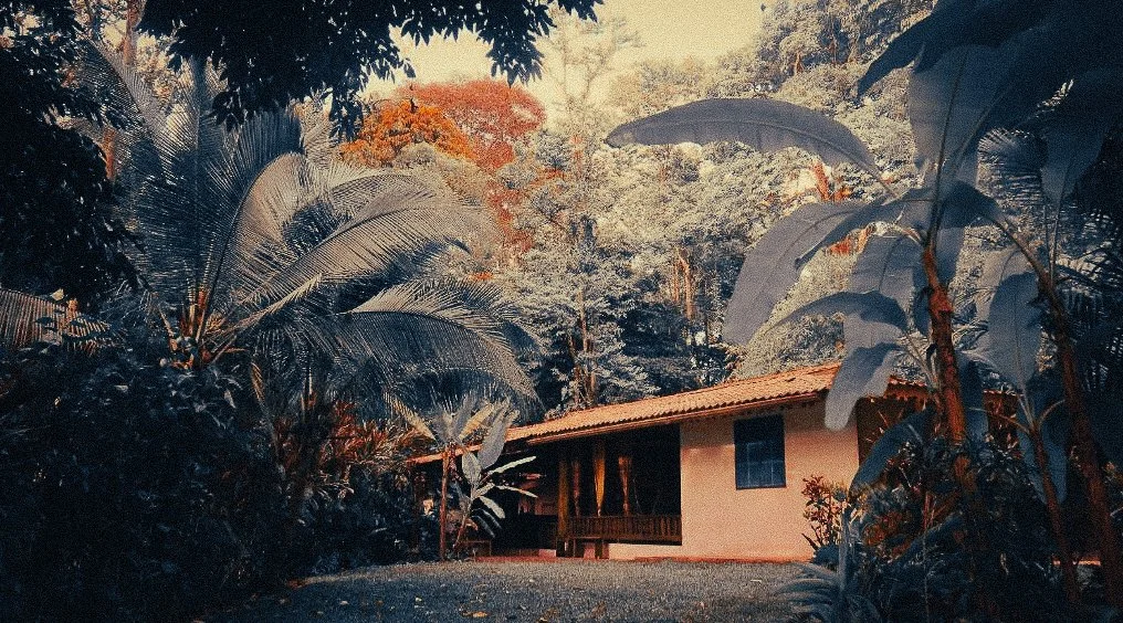 Casa Moabi building surrounded by tropical jungle in Playa Chiquita, Costa Rica, near Puerto Viejo on the Caribbean coast.