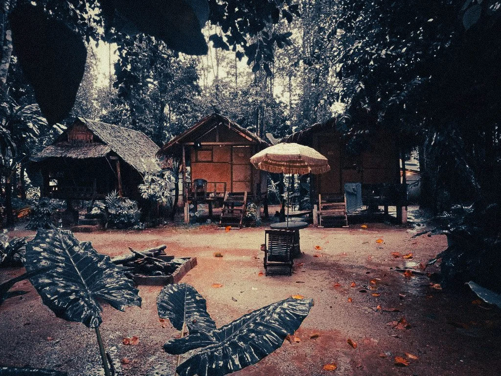 Khao Sok jungle camp near the national park entrance