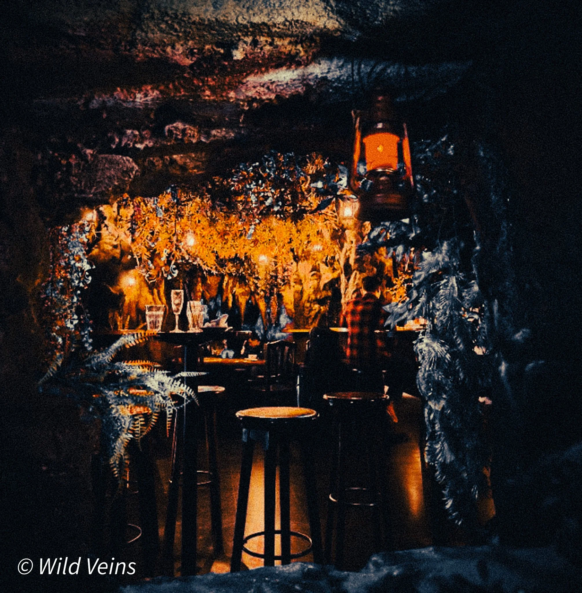 Bosc de les Fades Barcelona Fairy Tale Bar