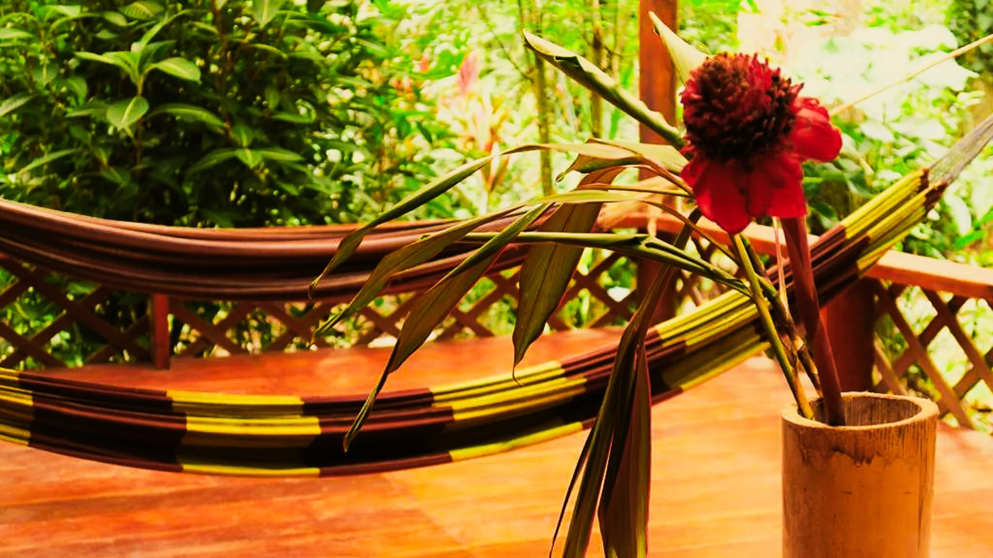 where to stay in Puerto Viejo, Costa Rica-4.jpg