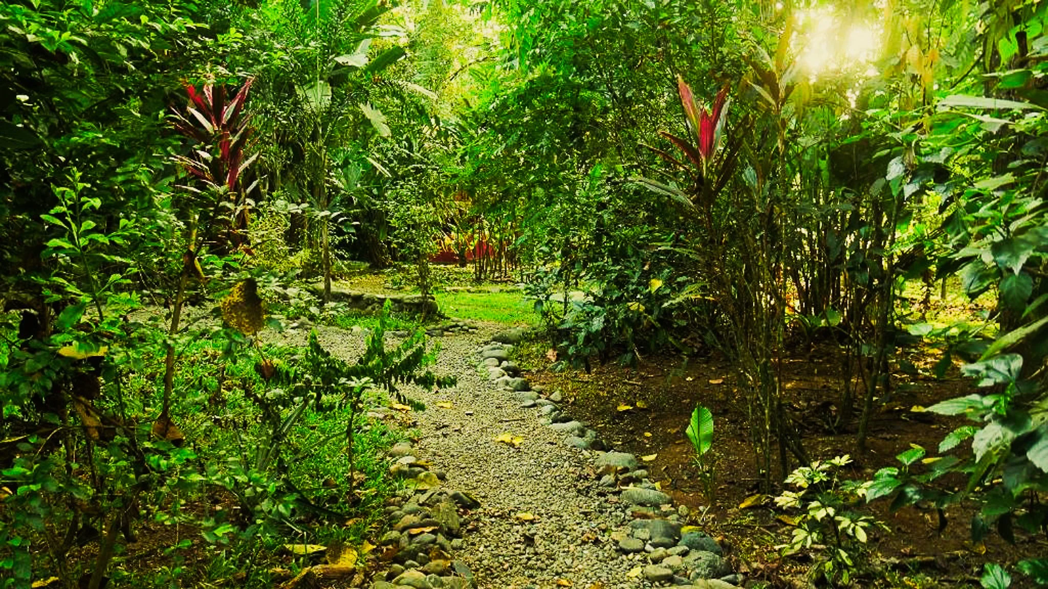 where to stay in Puerto Viejo, Costa Rica-5.jpg