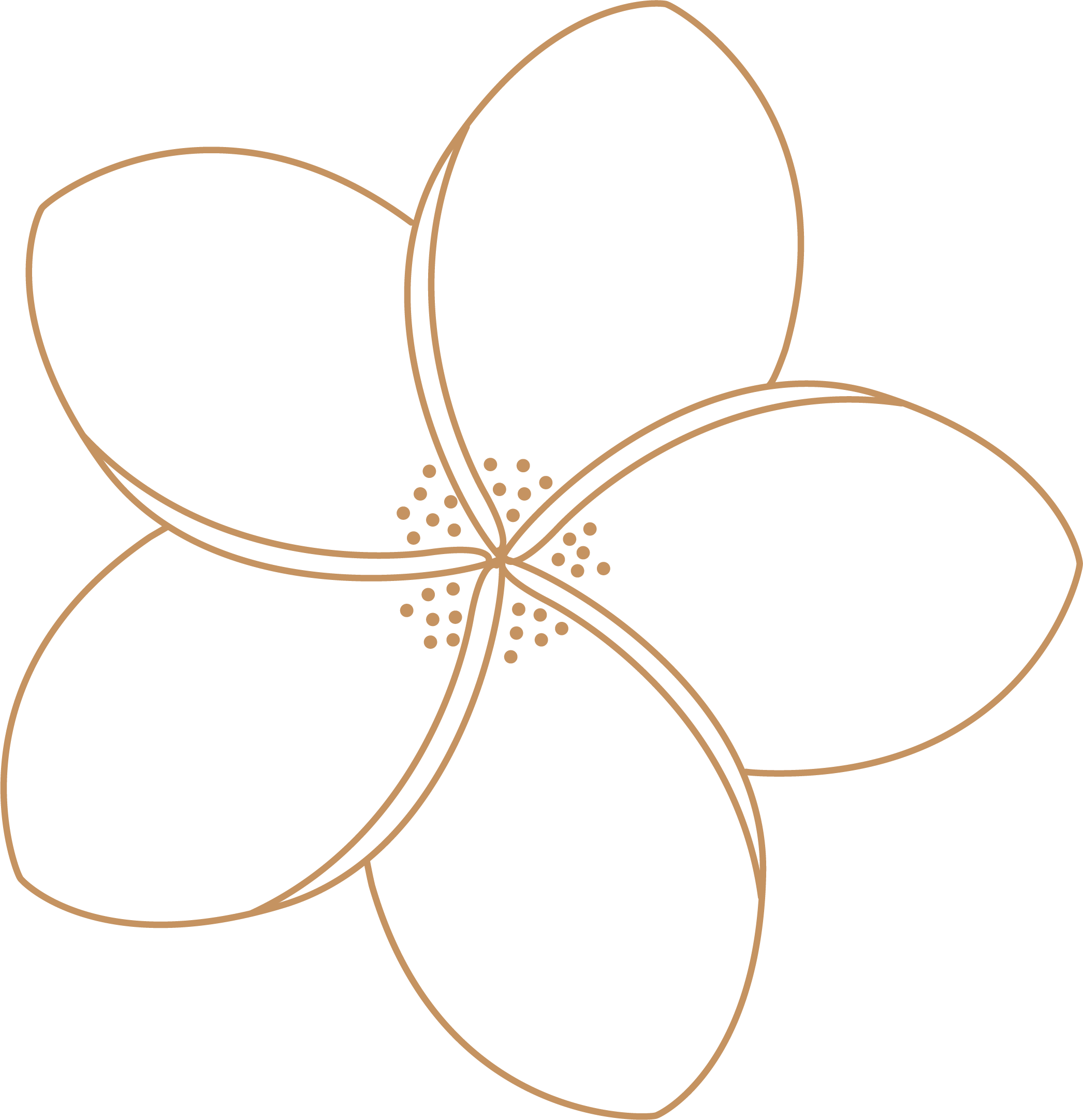 flower.png