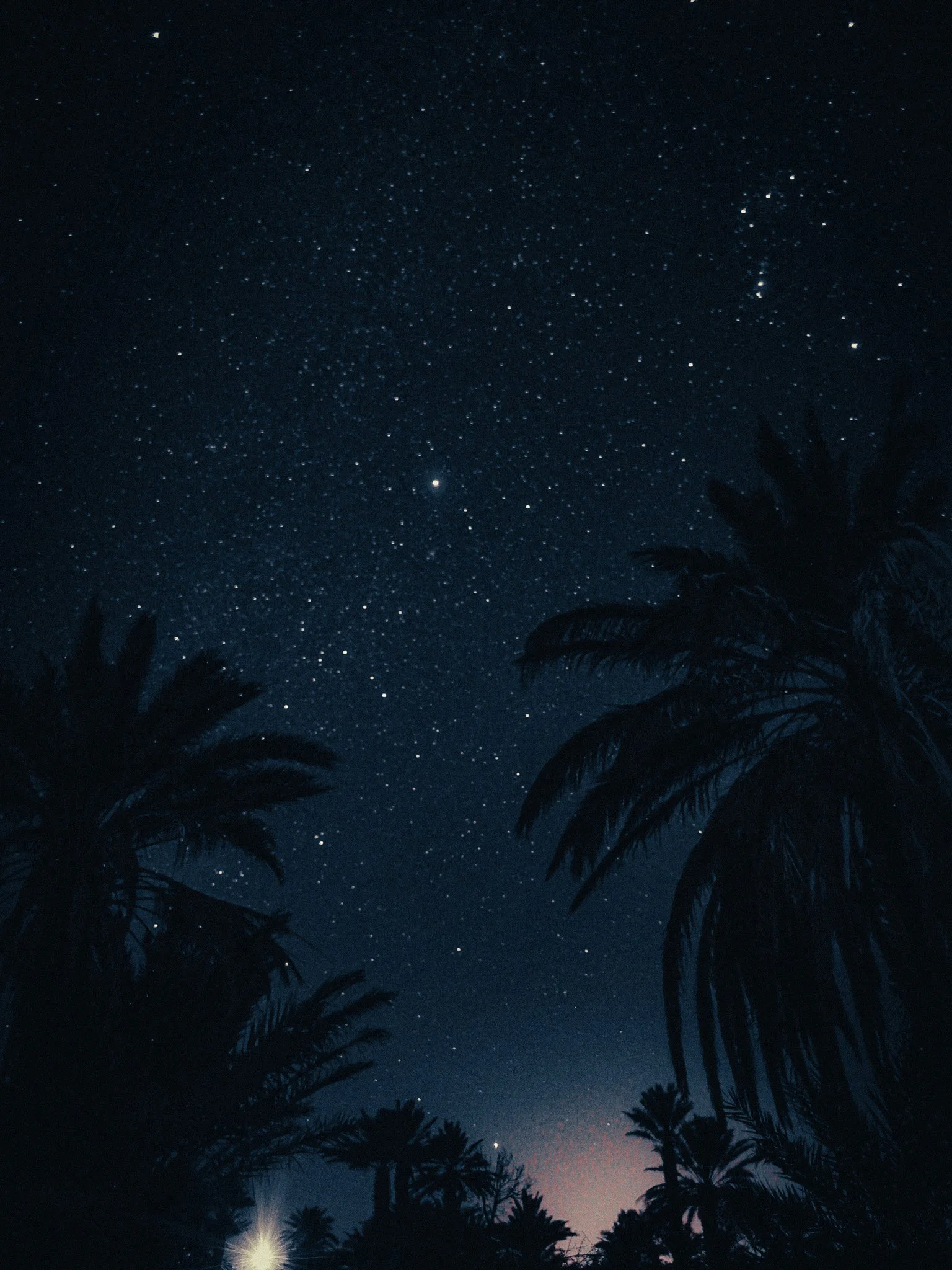 Star-filled night sky above silhouetted palm trees in the Moroccan desert.
