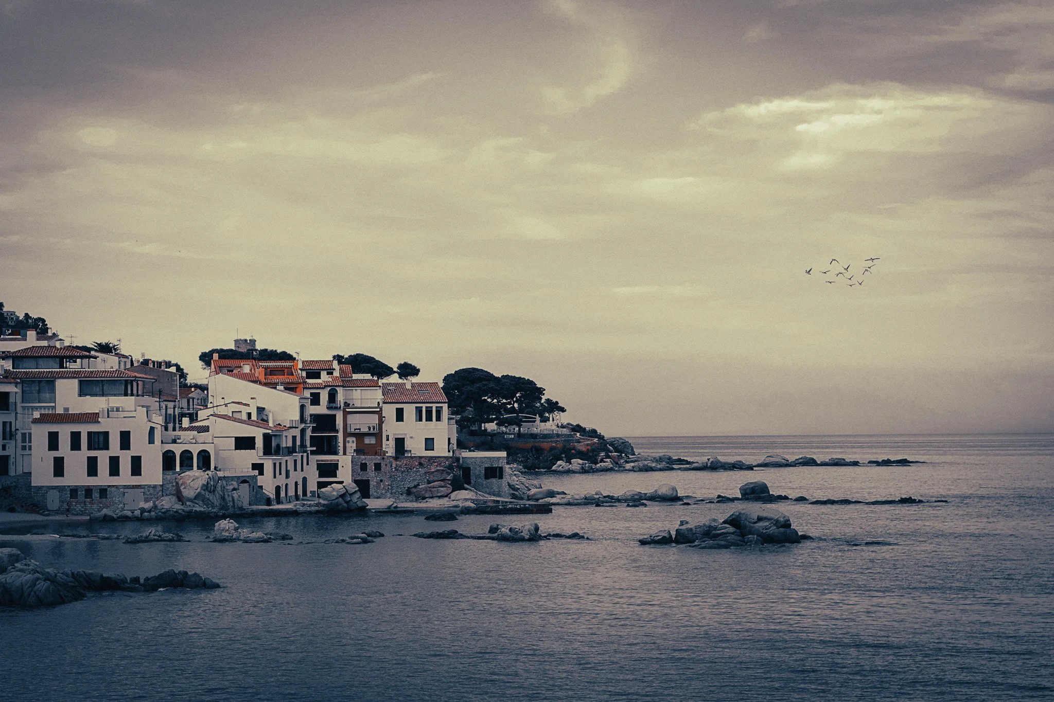Coastal view of white houses and rocky shoreline in Calella de Palafrugell on the Costa Brava, with calm sea, muted sky and birds flying overhead.
