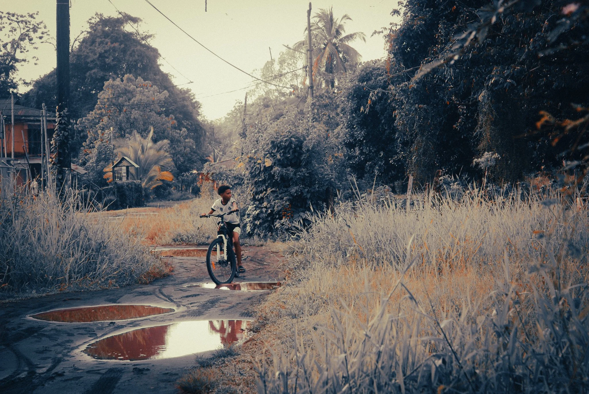 A muddy road in a jungle village in Costa Rica