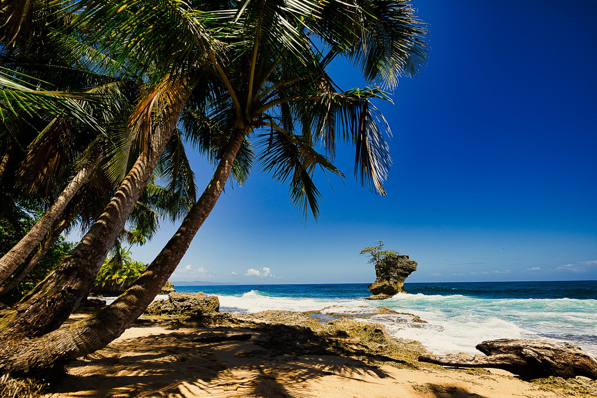Palm-lined Caribbean beach with rocky outcrop near Puerto Viejo, Costa Rica