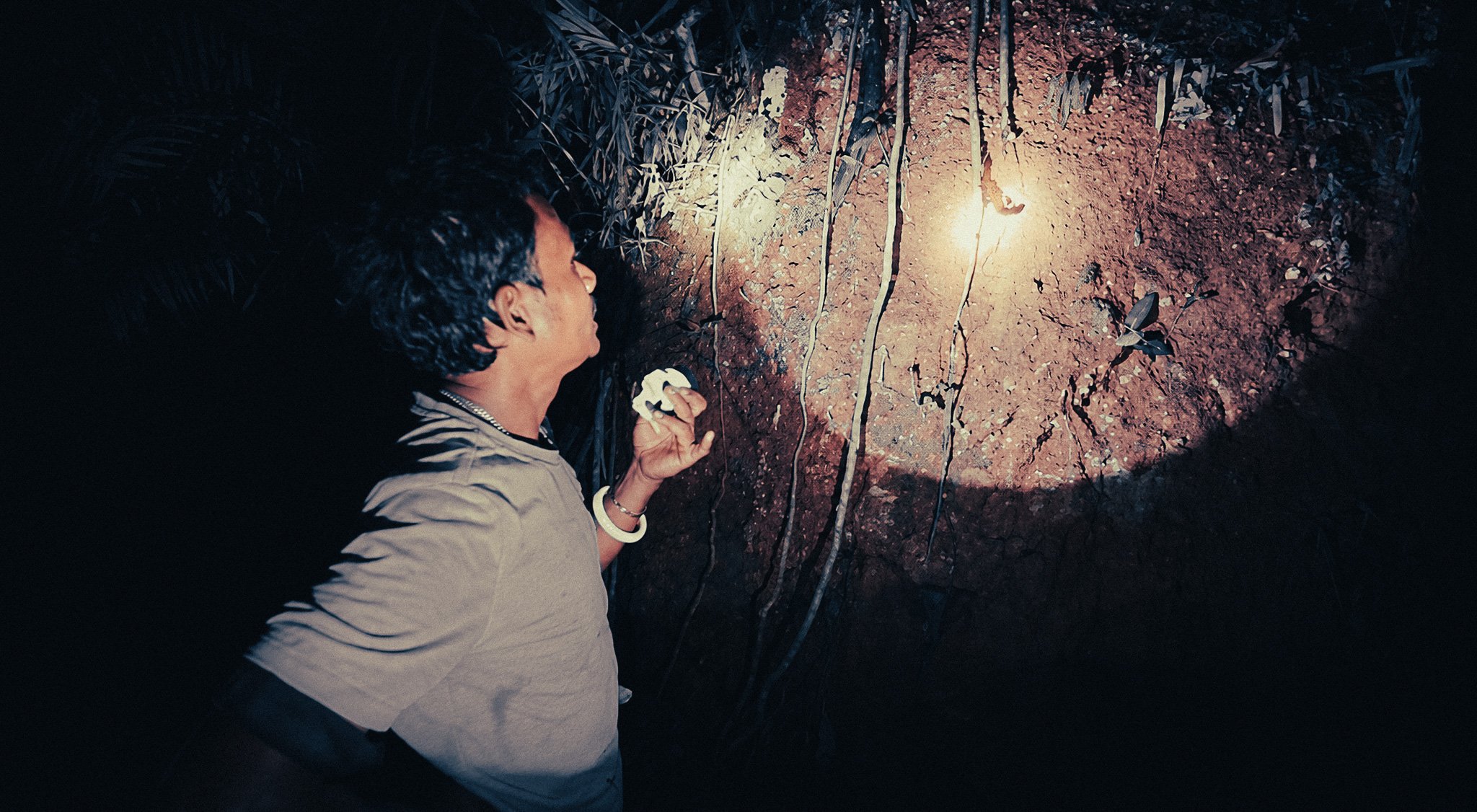 Local guide shining a torch during a night safari in Khao Sok National Park, Thailand.