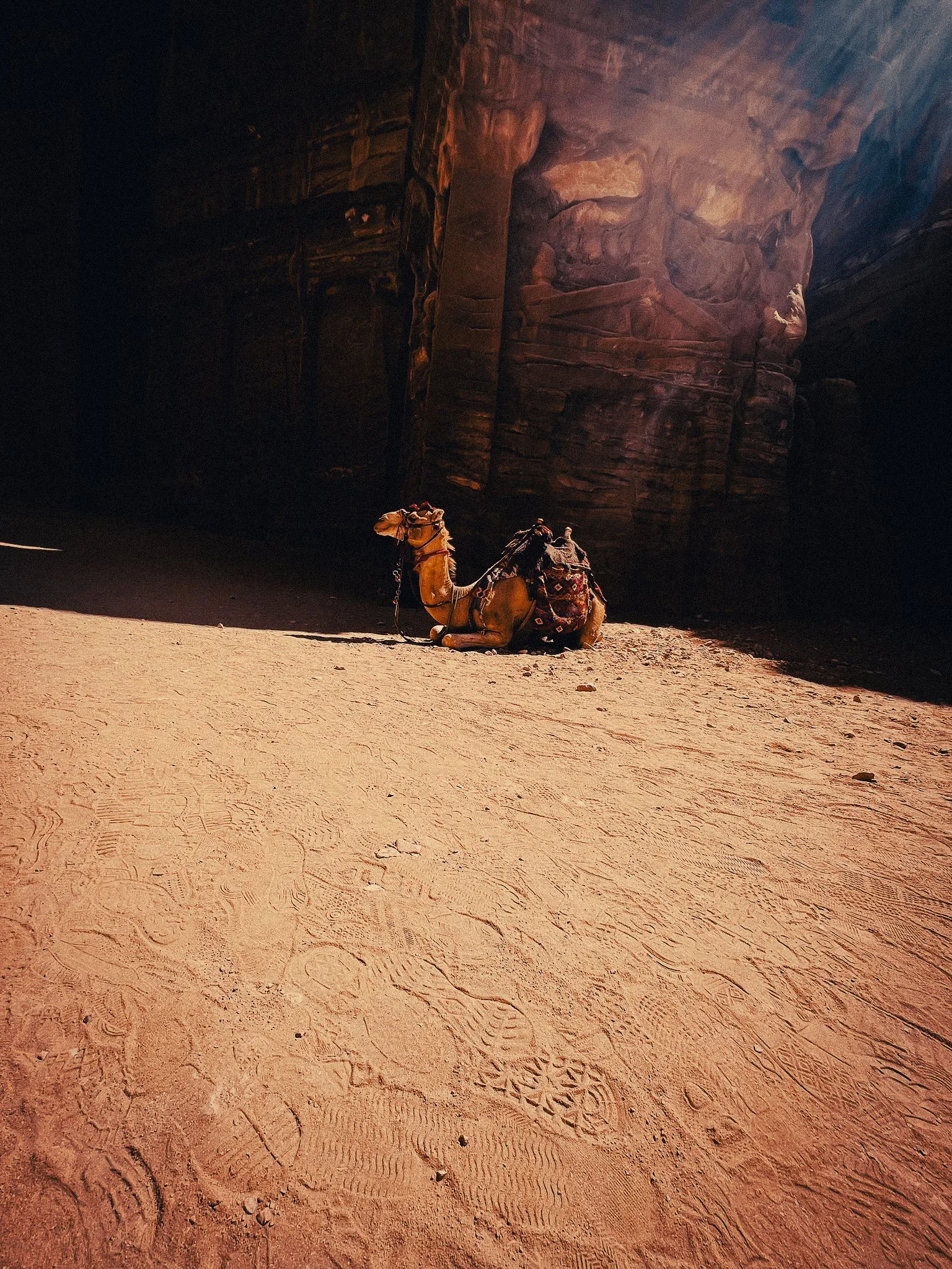 Camel resting in the sand between red rock cliffs in Wadi Rum Jordan during a budget travel trip.