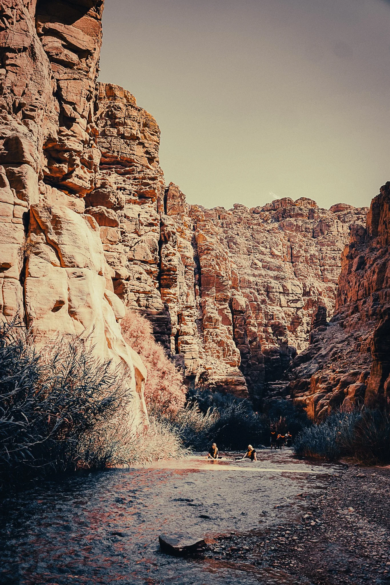 Wide view of Wadi Mujib’s red rock canyon with shallow water, vegetation and hikers moving through the gorge.