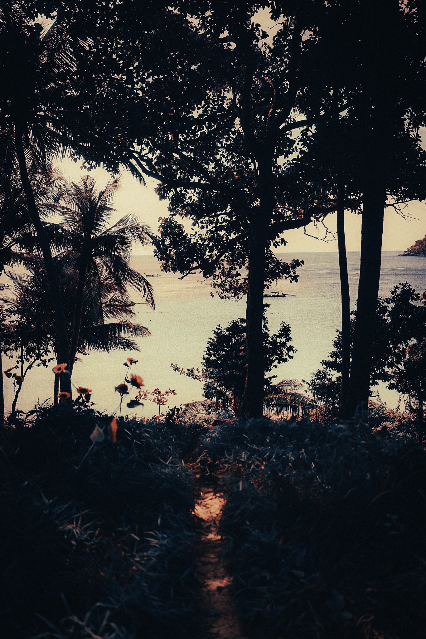 Shaded jungle path leading down to the sea on a quiet island near Phuket, Thailand.