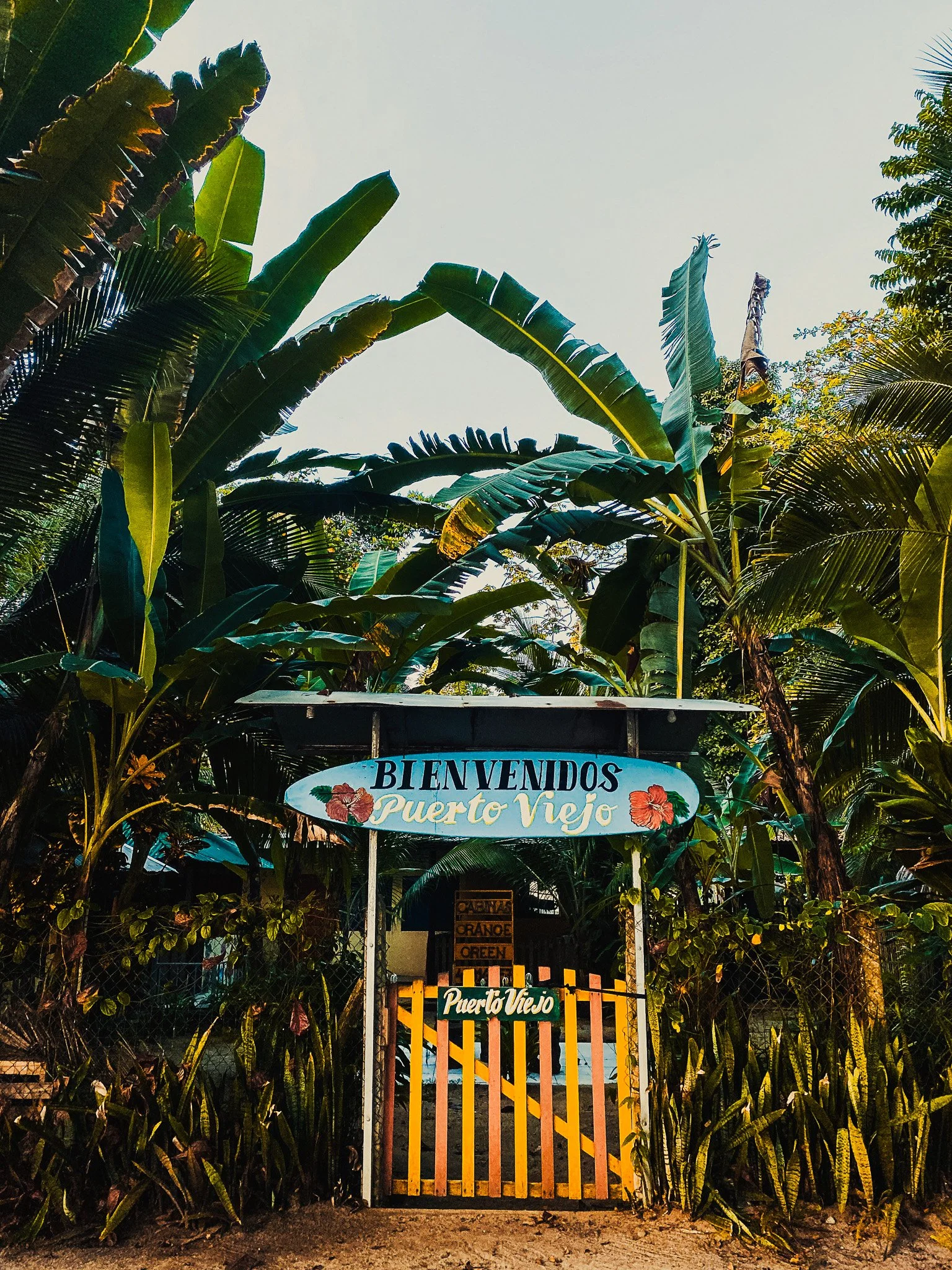 Welcome to Puerto Viejo sign surrounded by lush tropical plants in Costa Rica