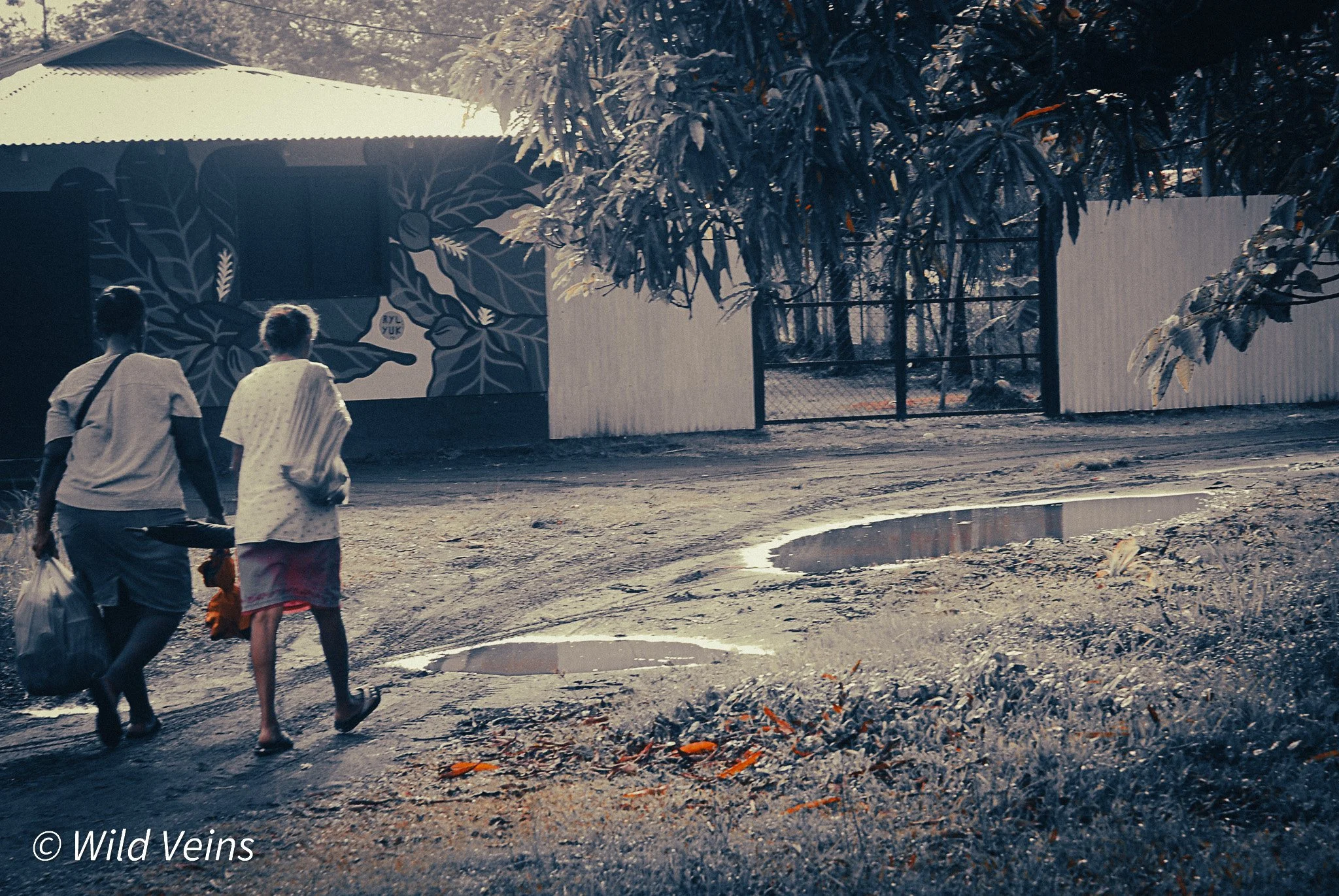 two woman walking through the mussy roads of parismina, a jungle village in costa rica