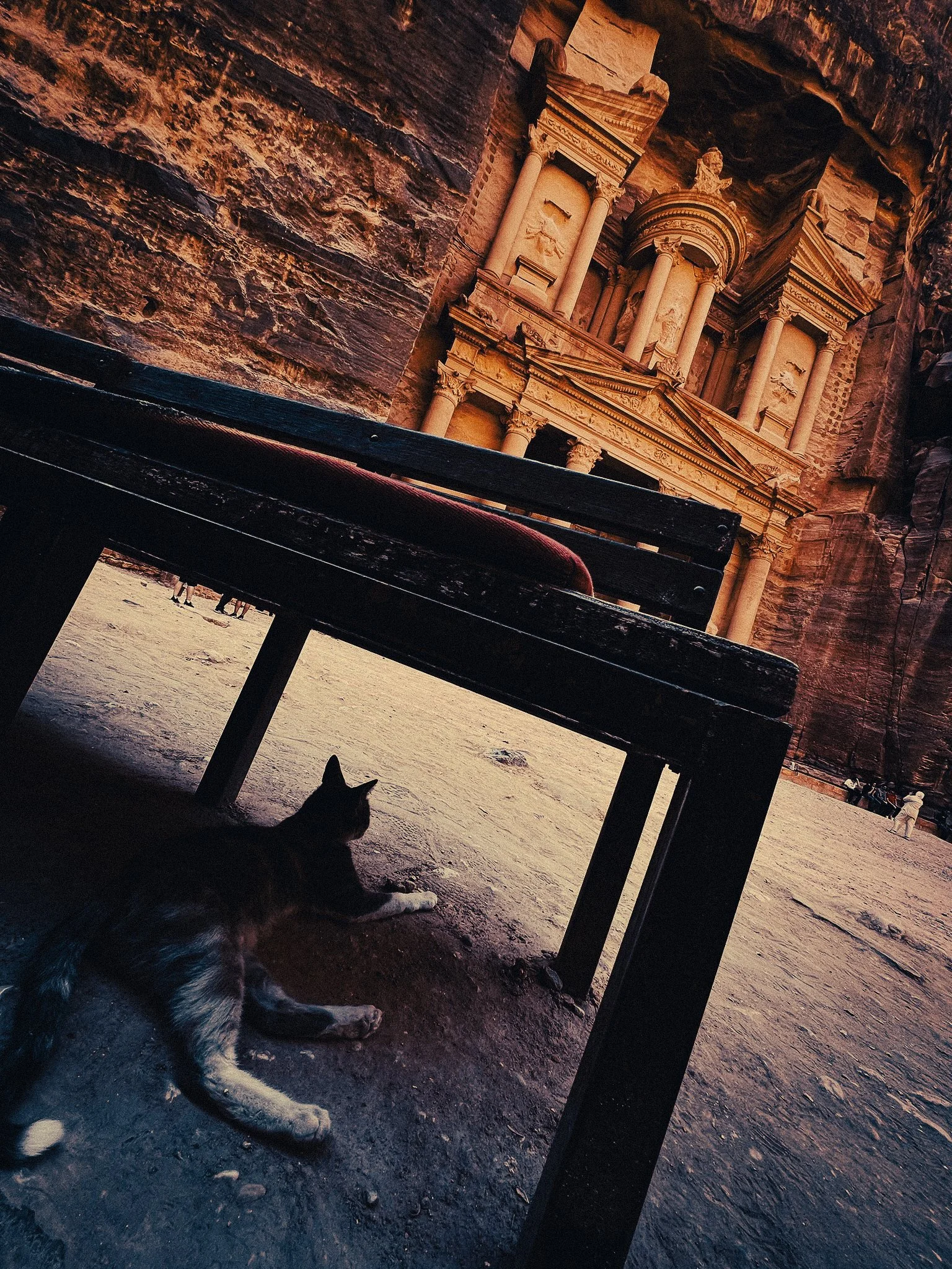 Cat resting in the shade under a bench at Petra, with the Treasury and sandstone cliffs in the background.