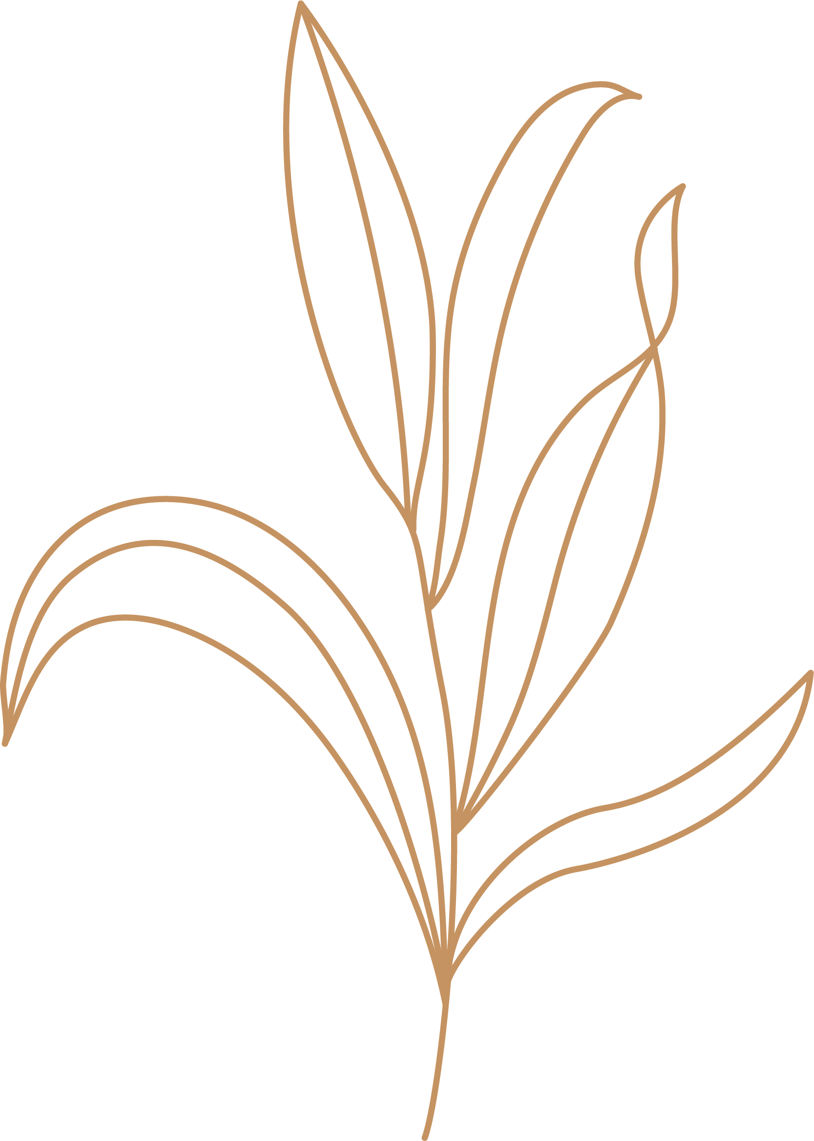 leaves.png