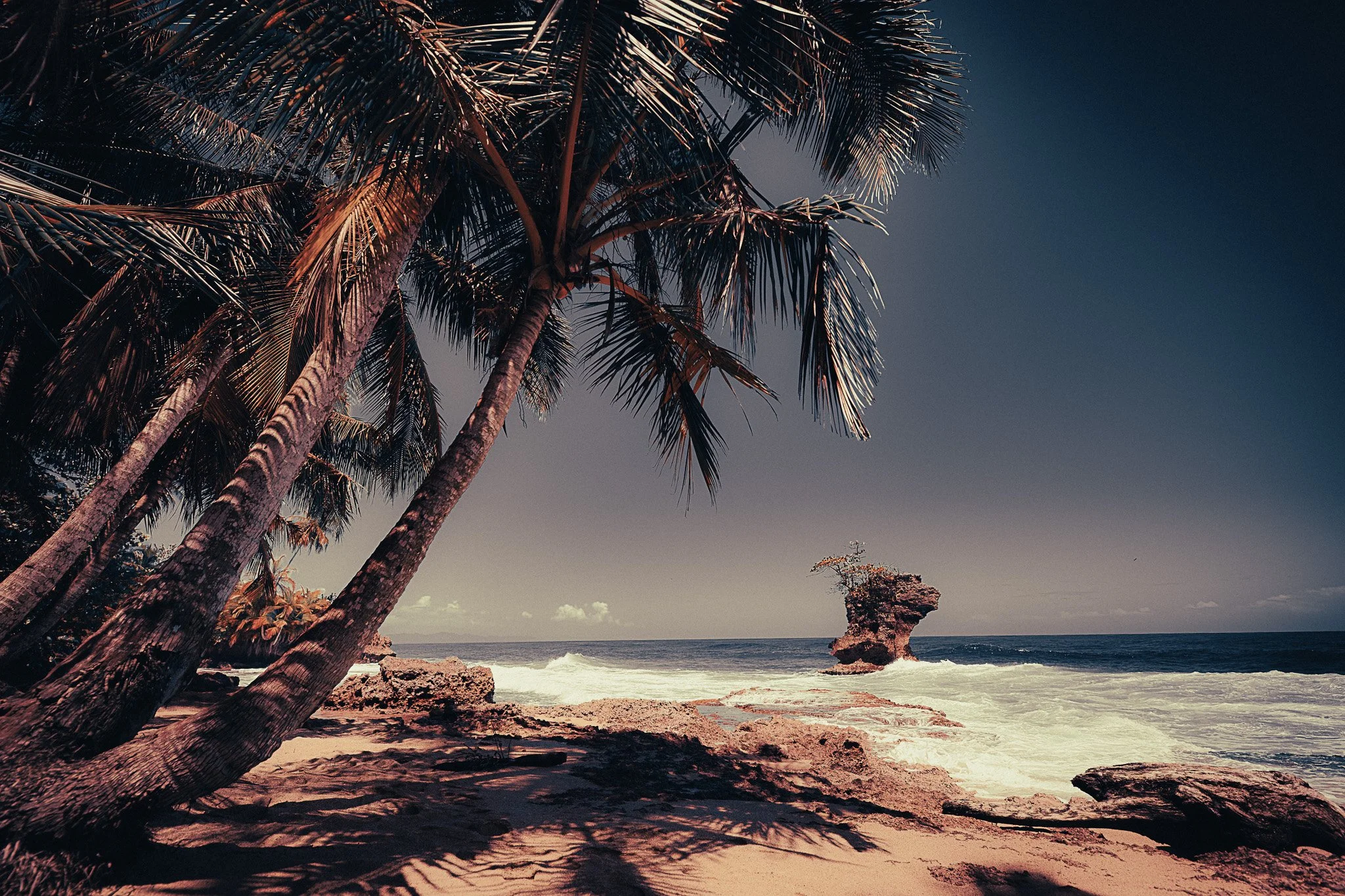 Palm-lined Caribbean beach near Puerto Viejo, Costa Rica, with waves breaking around a rocky sea stack.