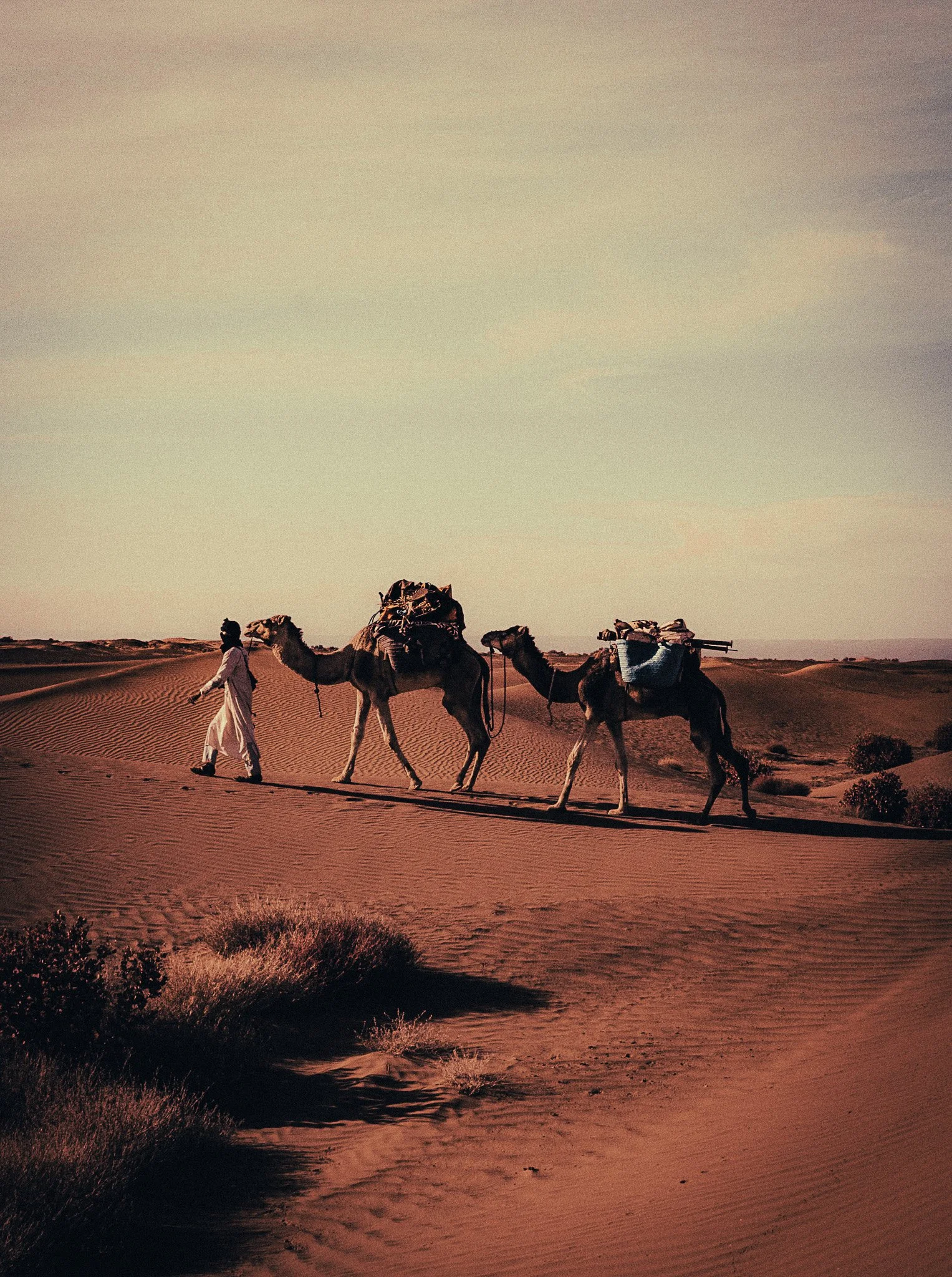 A man leading two loaded camels across the sand dunes of the Moroccan Sahara.