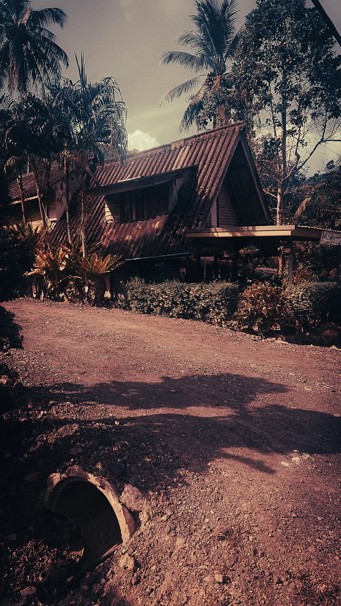 Traditional wooden jungle accommodation near Khao Sok Village, surrounded by palms and tropical trees in southern Thailand.