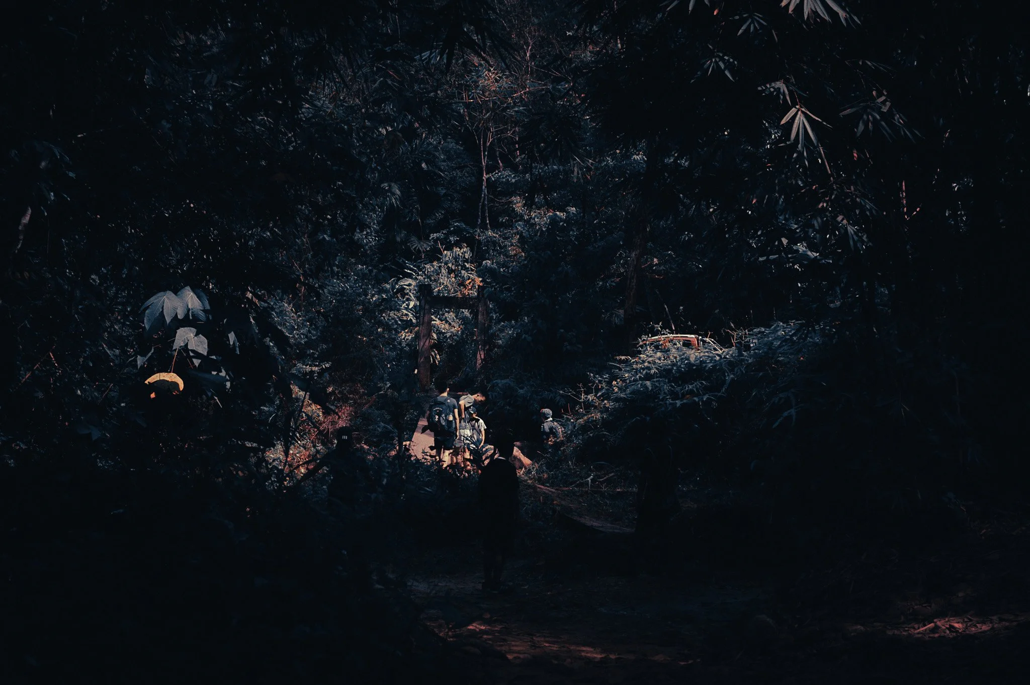 Hikers walking through a dark rainforest trail in Khao Sok National Park, Thailand.