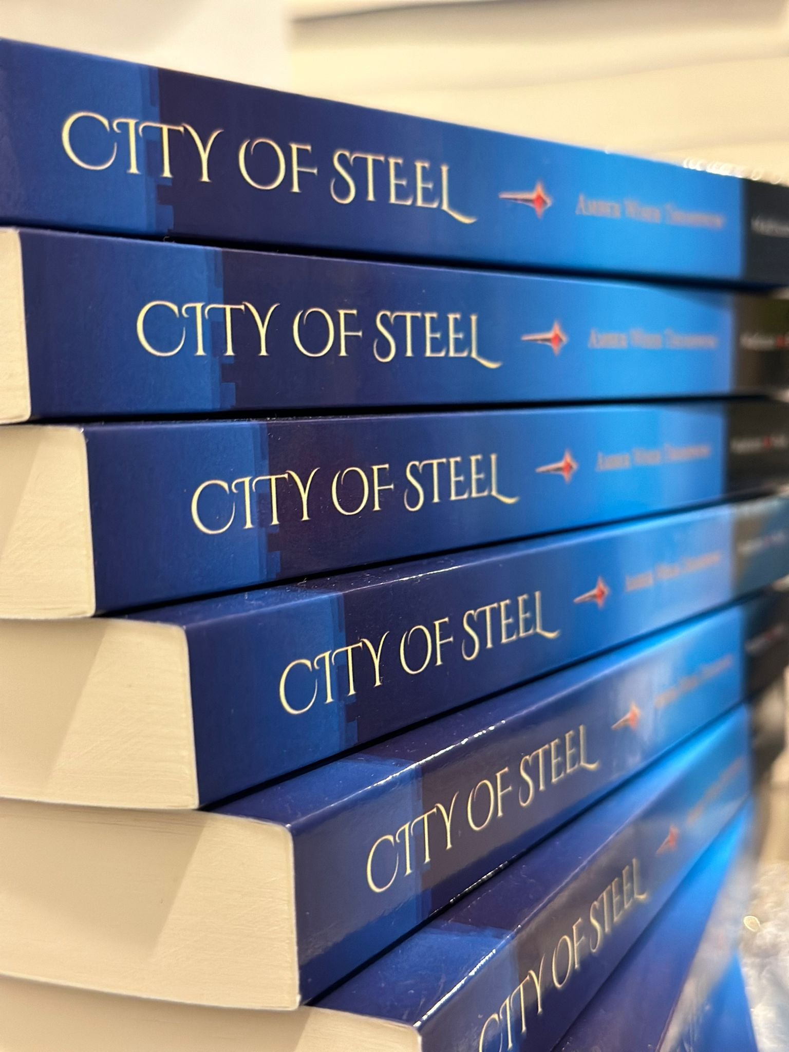 Multiple stacked blue booklets titled "City of Steel" with a red logo on the cover.