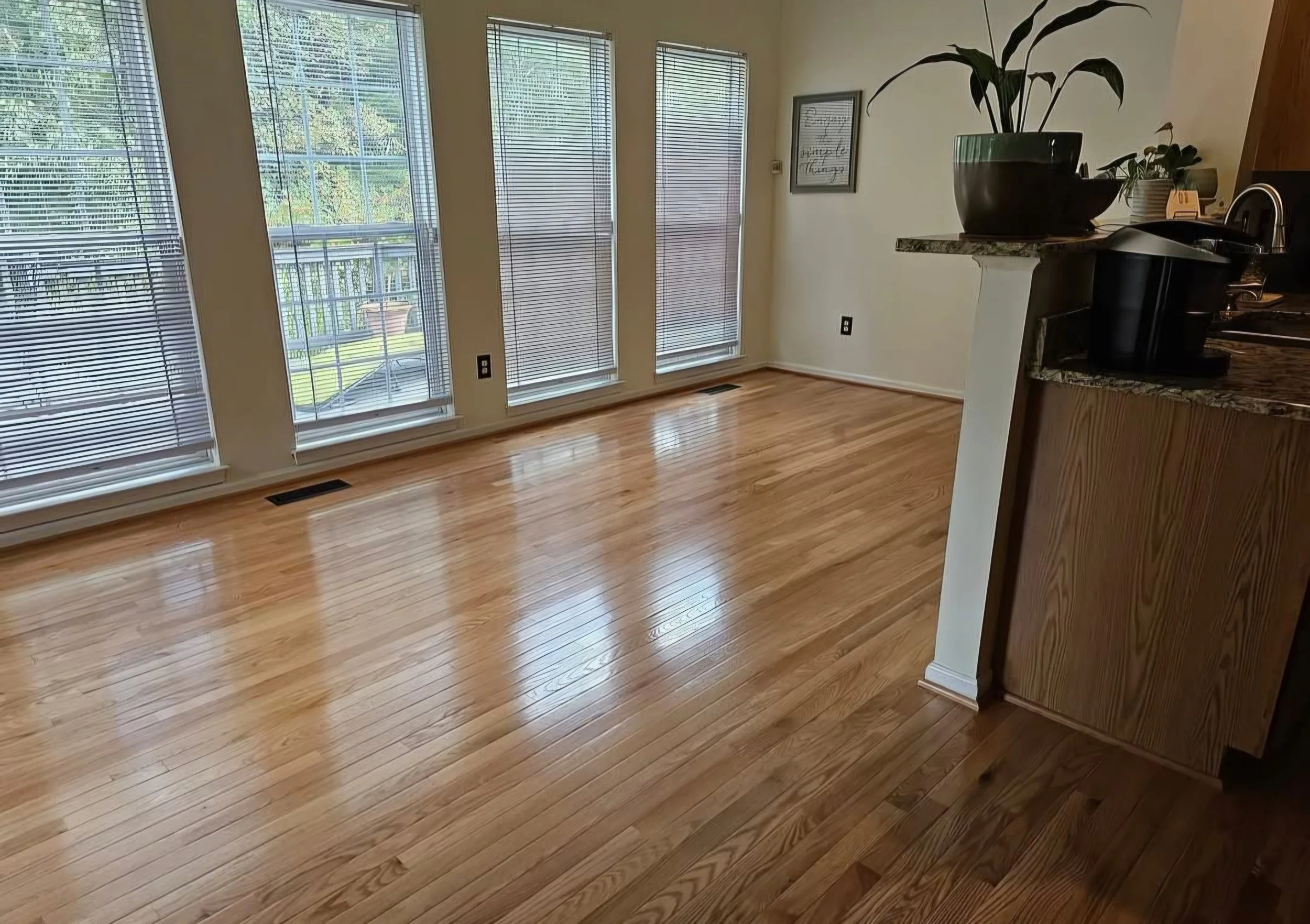Empty living space with large windows, hardwood floors, and minimal decor, including a framed picture and potted plants on a counter.