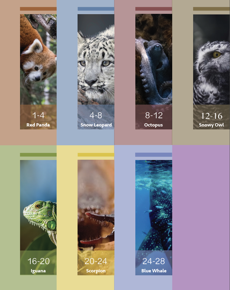 Colors of nature