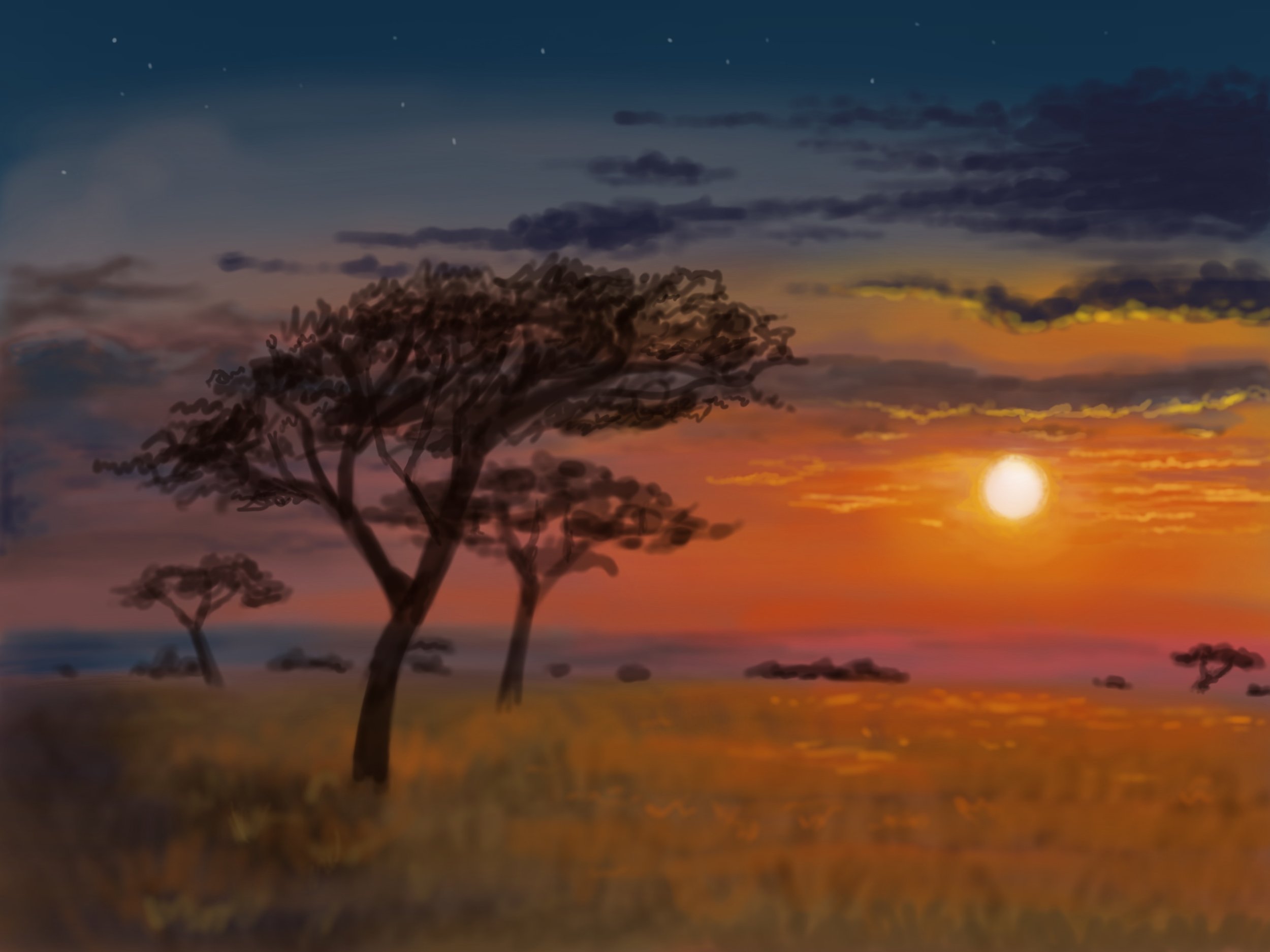 Sunset_Savanna_.jpg