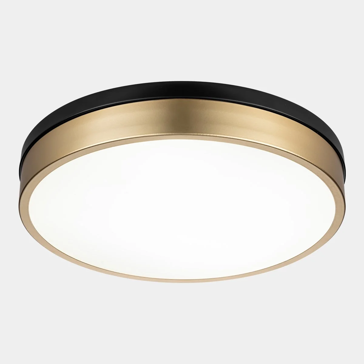 ERPFM221CCT (Clarissa).jpg