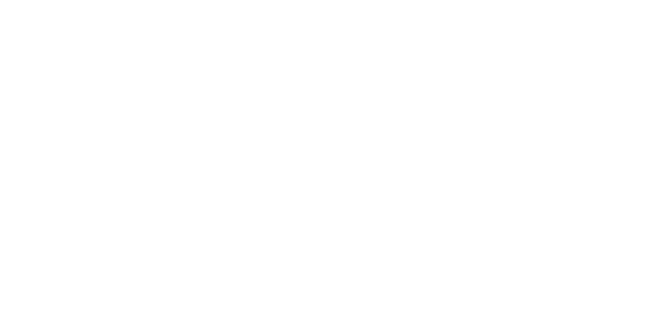 born-ready-logo.png