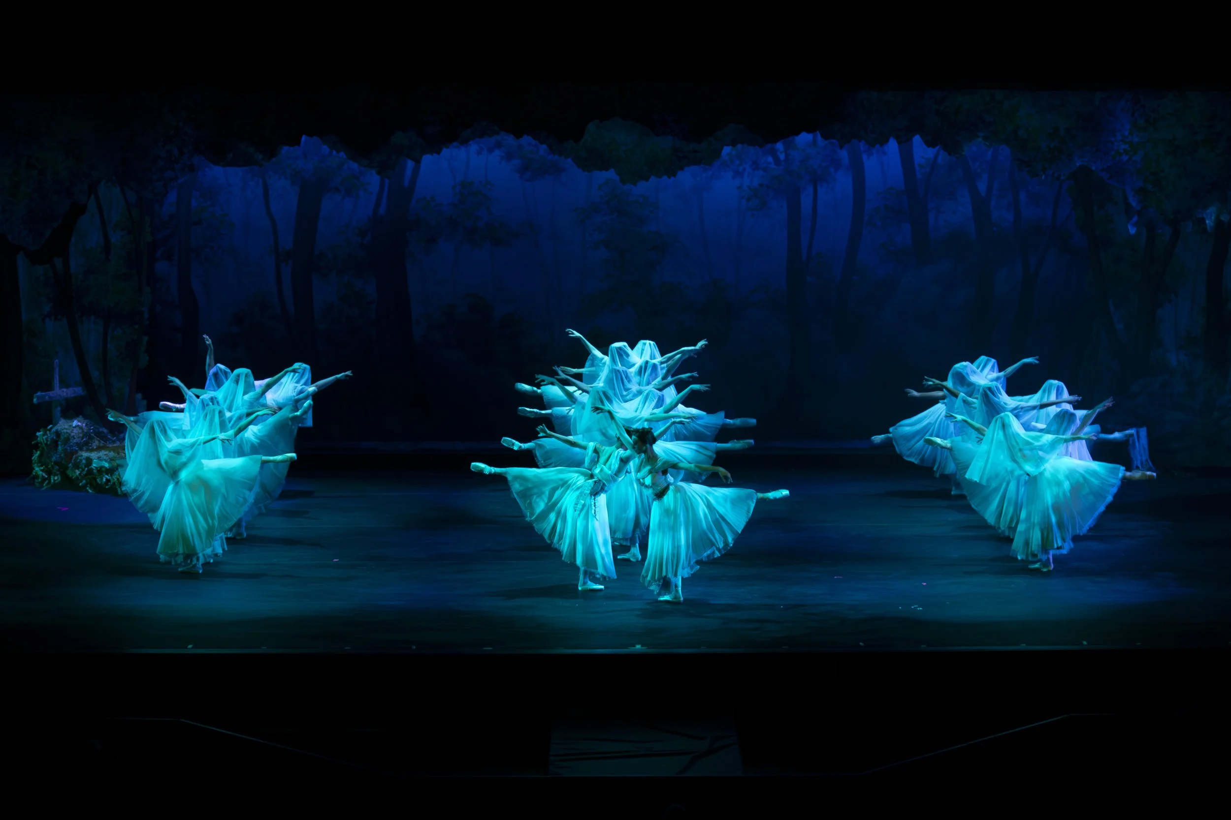 Ballet dancers in flowing white costumes perform on a dark stage with a forest background, lit by blue lighting.