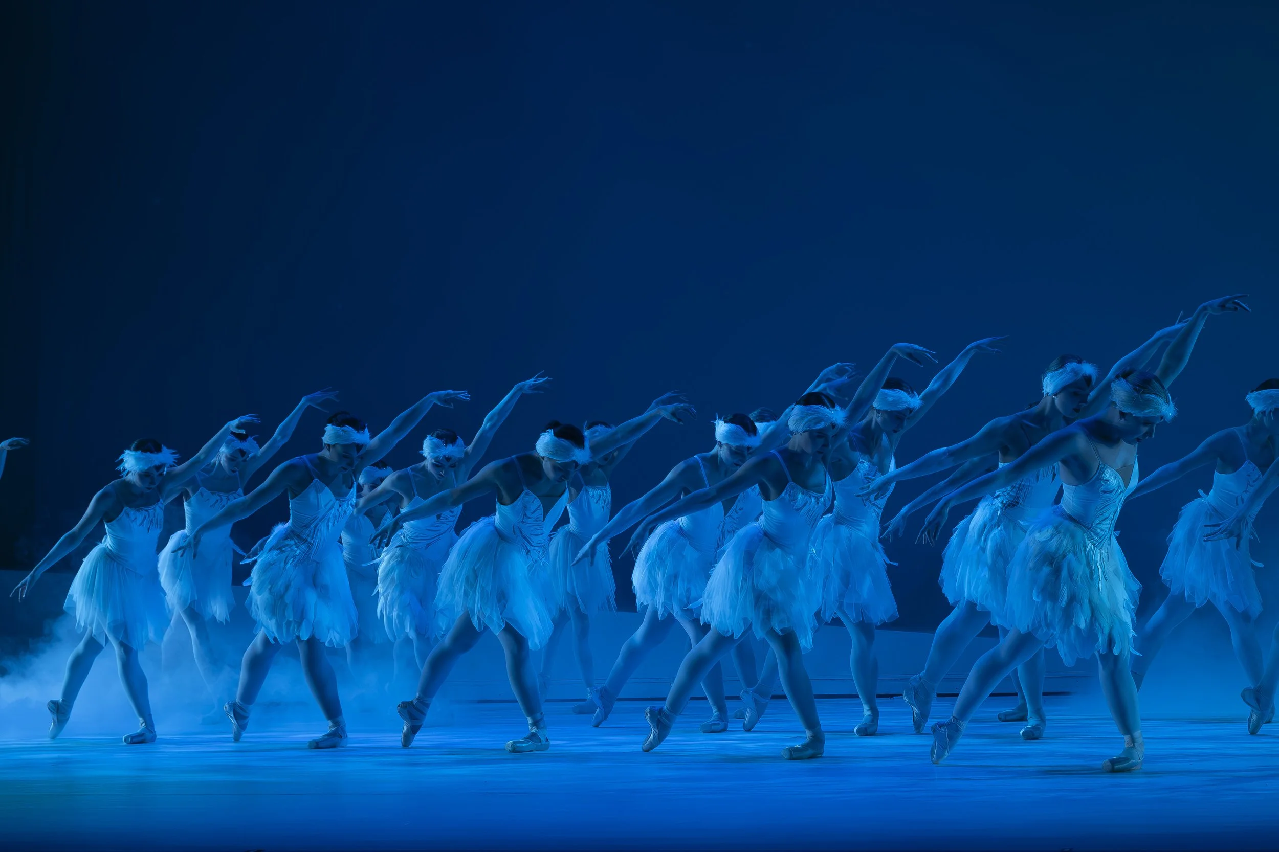 Ballet dancers in white tutus performing on stage under blue lighting.