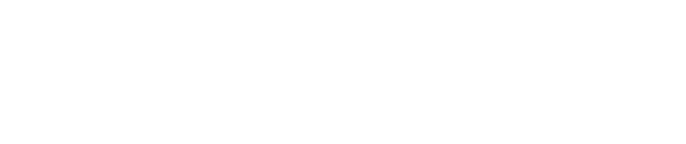 Logotipo del grupo Arise México, Aliado del Sector Privado para Sociedades Resilientes ante Desastres, en fondo negro.