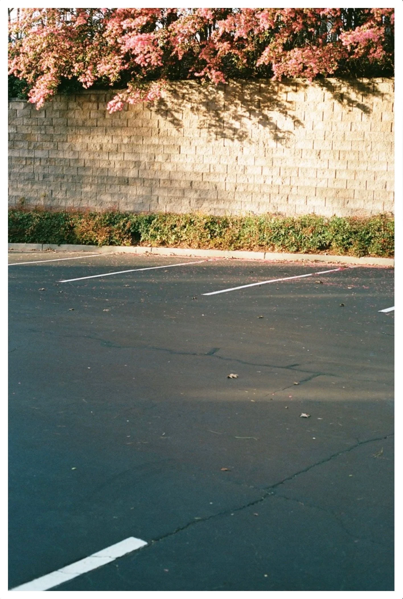 Screenshot 2024-04-02 at 9.31.04 PM 3.JPG