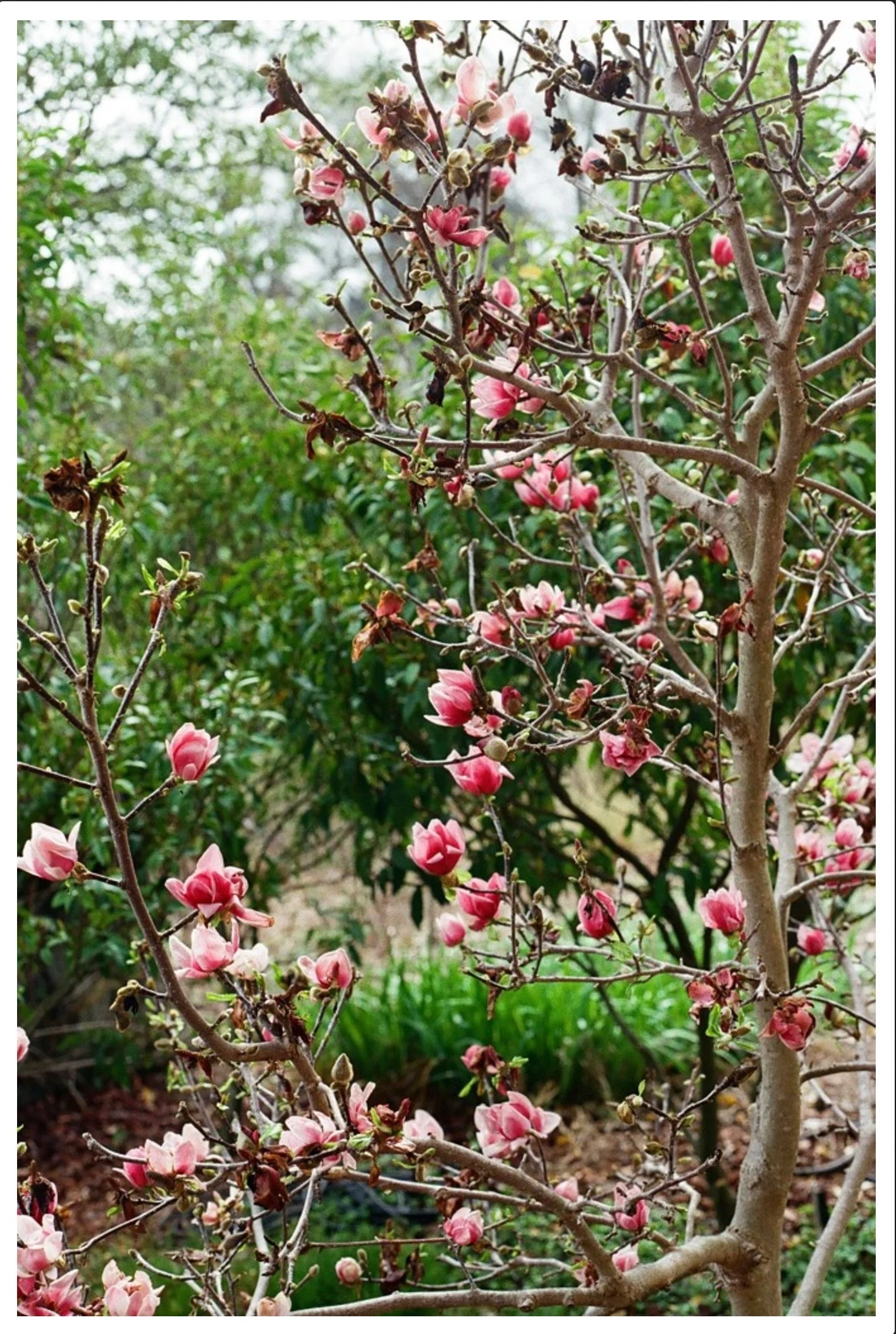 Screenshot 2024-04-03 at 1.12.41 AM 3.JPG