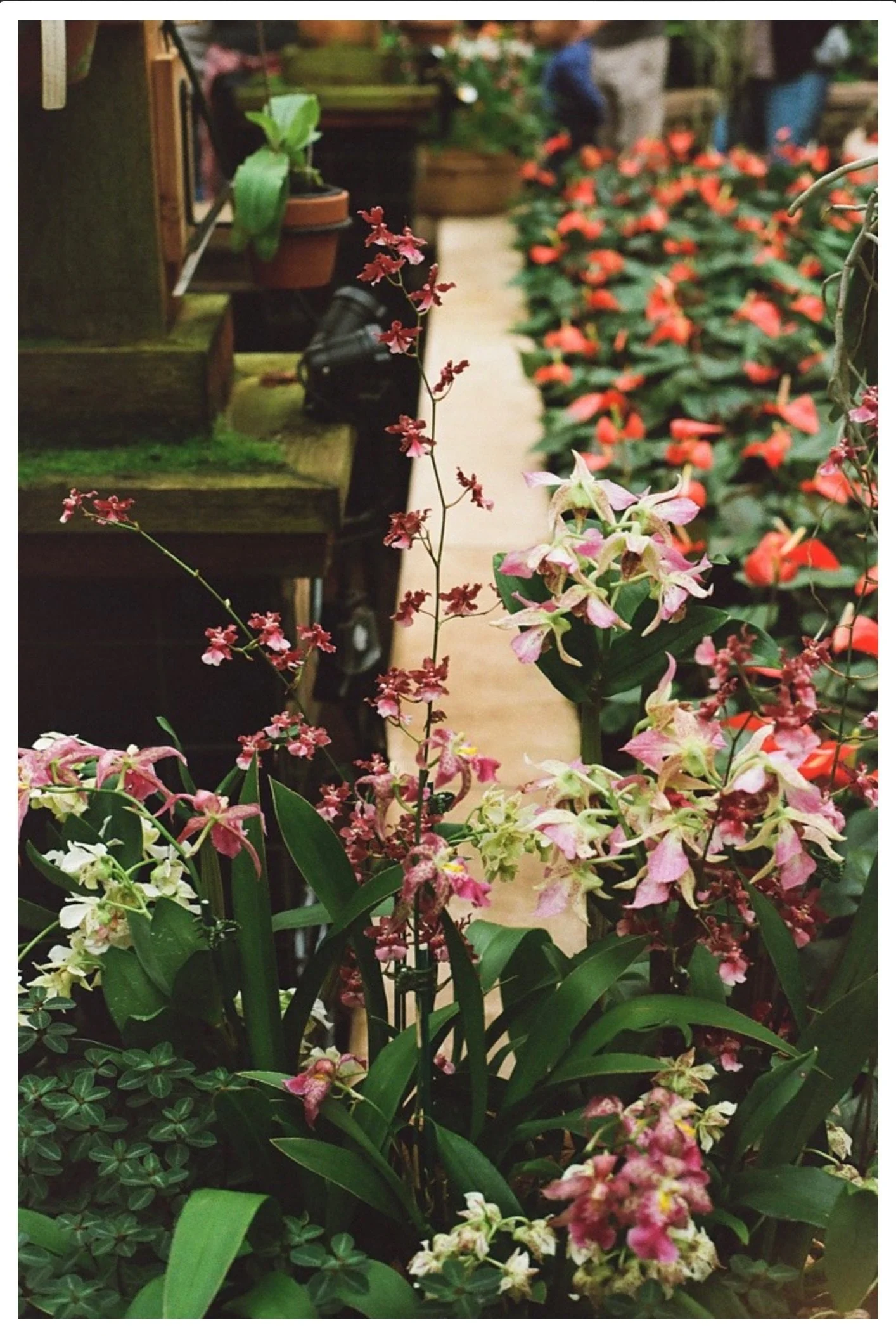 Screenshot 2024-04-03 at 1.20.16 AM 3.JPG