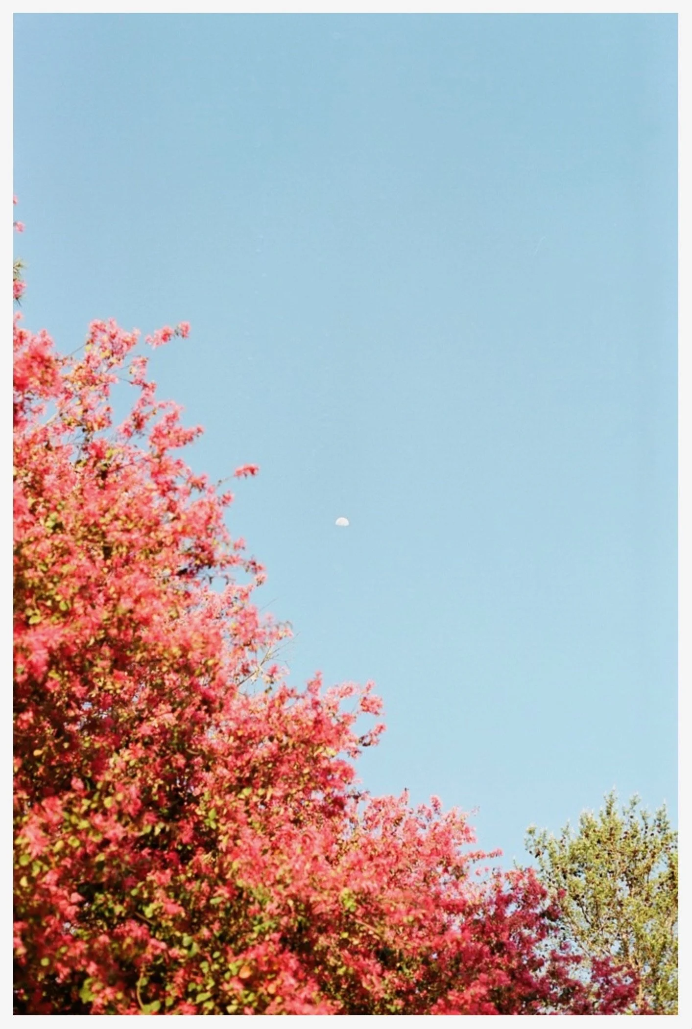 Screenshot 2024-04-02 at 9.31.27 PM 3.JPG