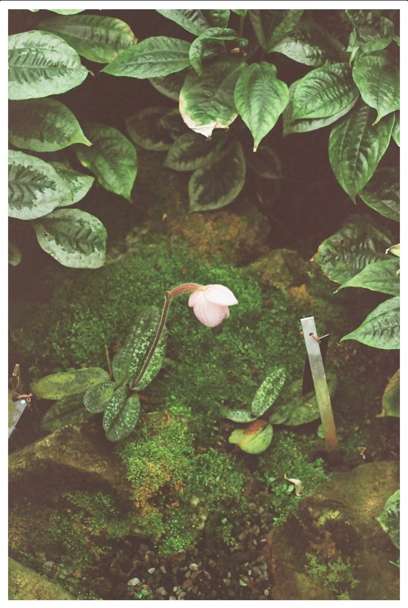 Screenshot 2024-04-03 at 1.19.47 AM 3.JPG