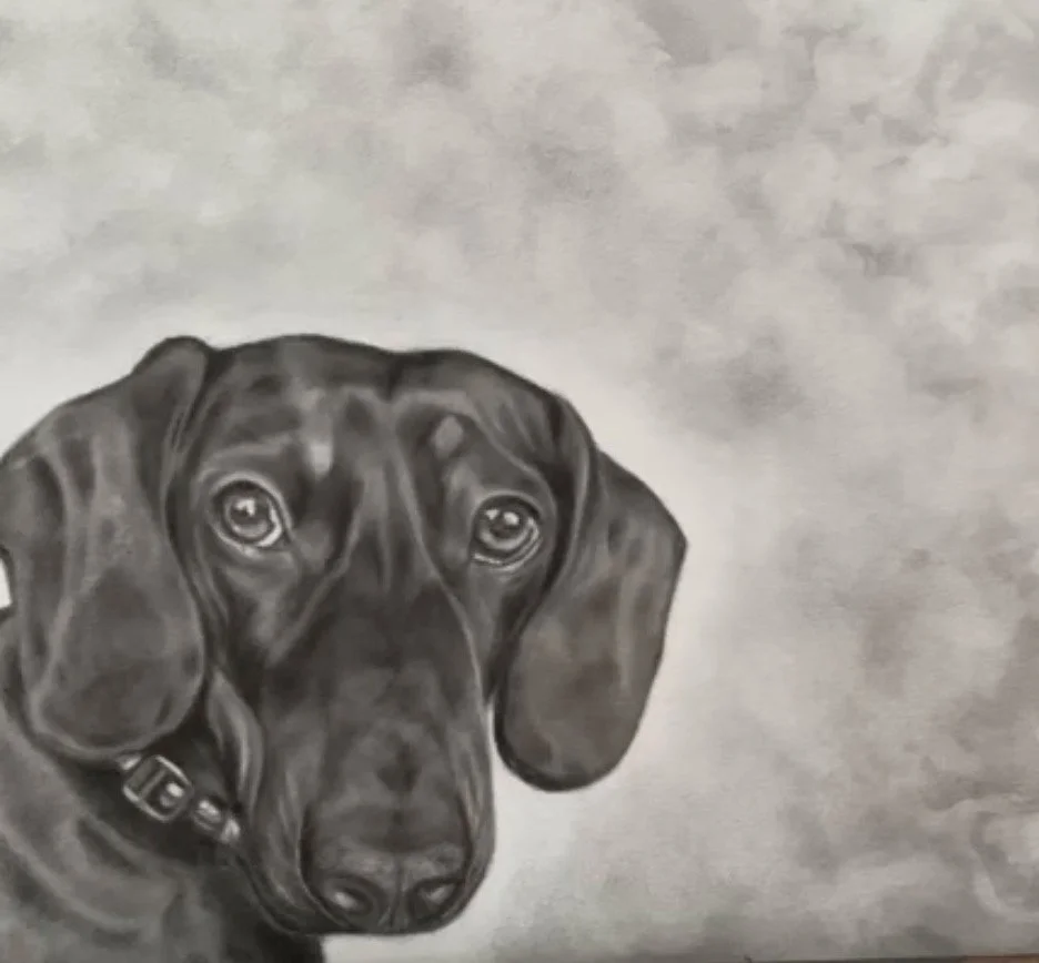 Charcoal detailed drawing of a black dog with floppy ears and a sad expression against a grey background.