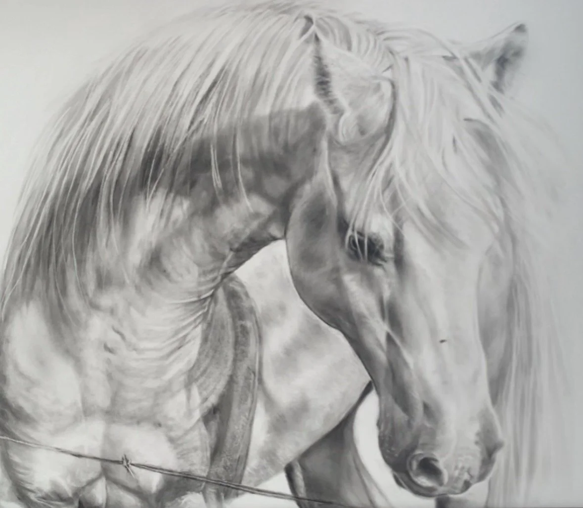 Black and white lifelike drawing of a horse with a flowing mane and no bridle, showing detailed shading.