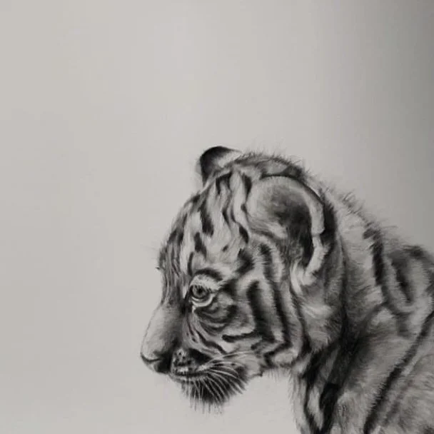 A black and white realistic charcoal drawing of a tiger in profile view with detailed fur and stripes.